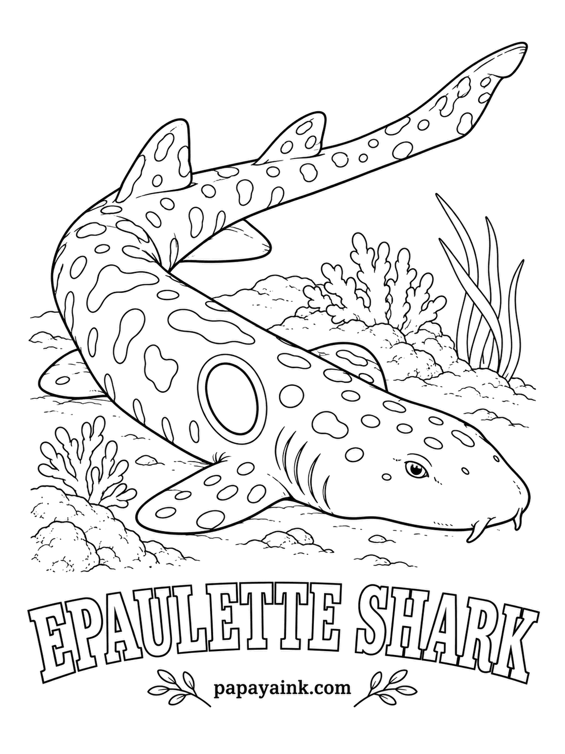Ocean Fish Coloring Pages - At low tide this shark walks, pushing itself across exposed reef flats on its fins from one pool to the next. The big ringed spot behind the fin is the epaulette: black, with a white rim. Cream body, brown spots everywhere else.