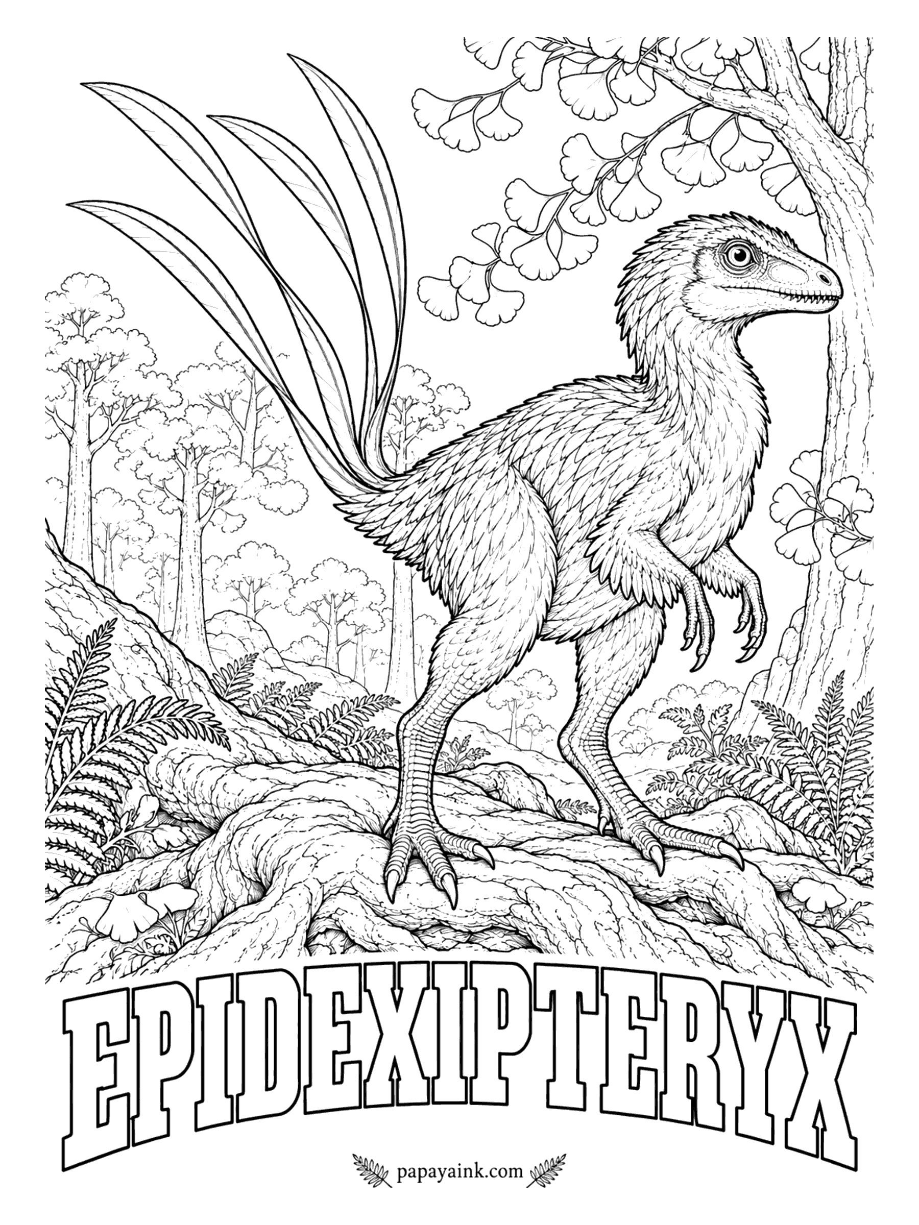 Free Printable Dinosaur Coloring Pages - Ribbon feathers, four of them, trail from the tail, and there is no sign of a feather built for flying. Epidexipteryx (ep-ih-dex-IP-ter-ix, display feather) is one of the oldest known dinosaurs with feathers that were purely for show. Pigeon-sized, with long fingers and forward-pointing teeth. China, about 160 million years ago.