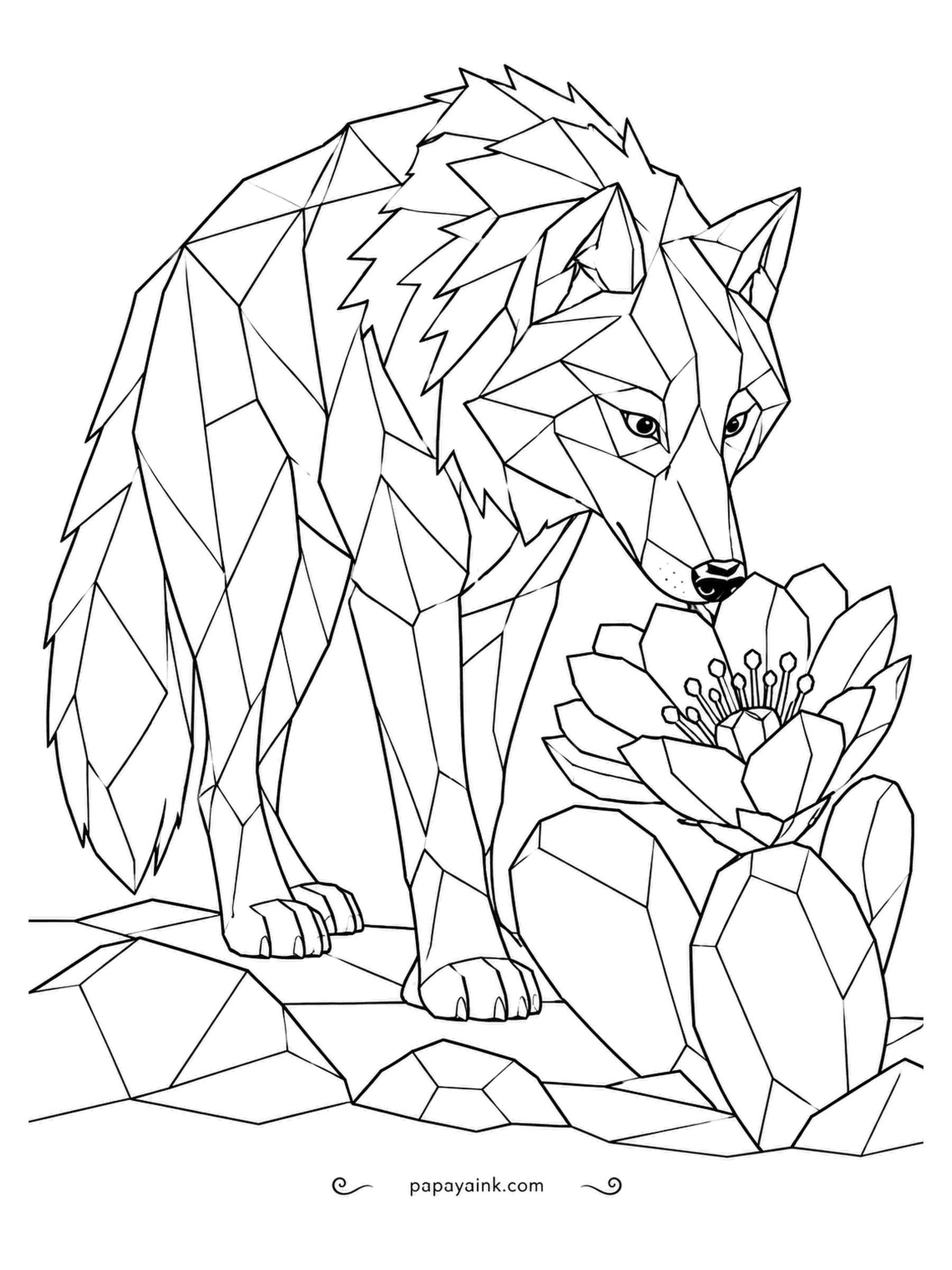 Wolf Coloring Pages - Desert edition: the Mexican gray wolf really does roam the dry Southwest, and this faceted one has stopped to sniff a prickly pear bloom. Gold or pink for the flower, sage green for the pads.