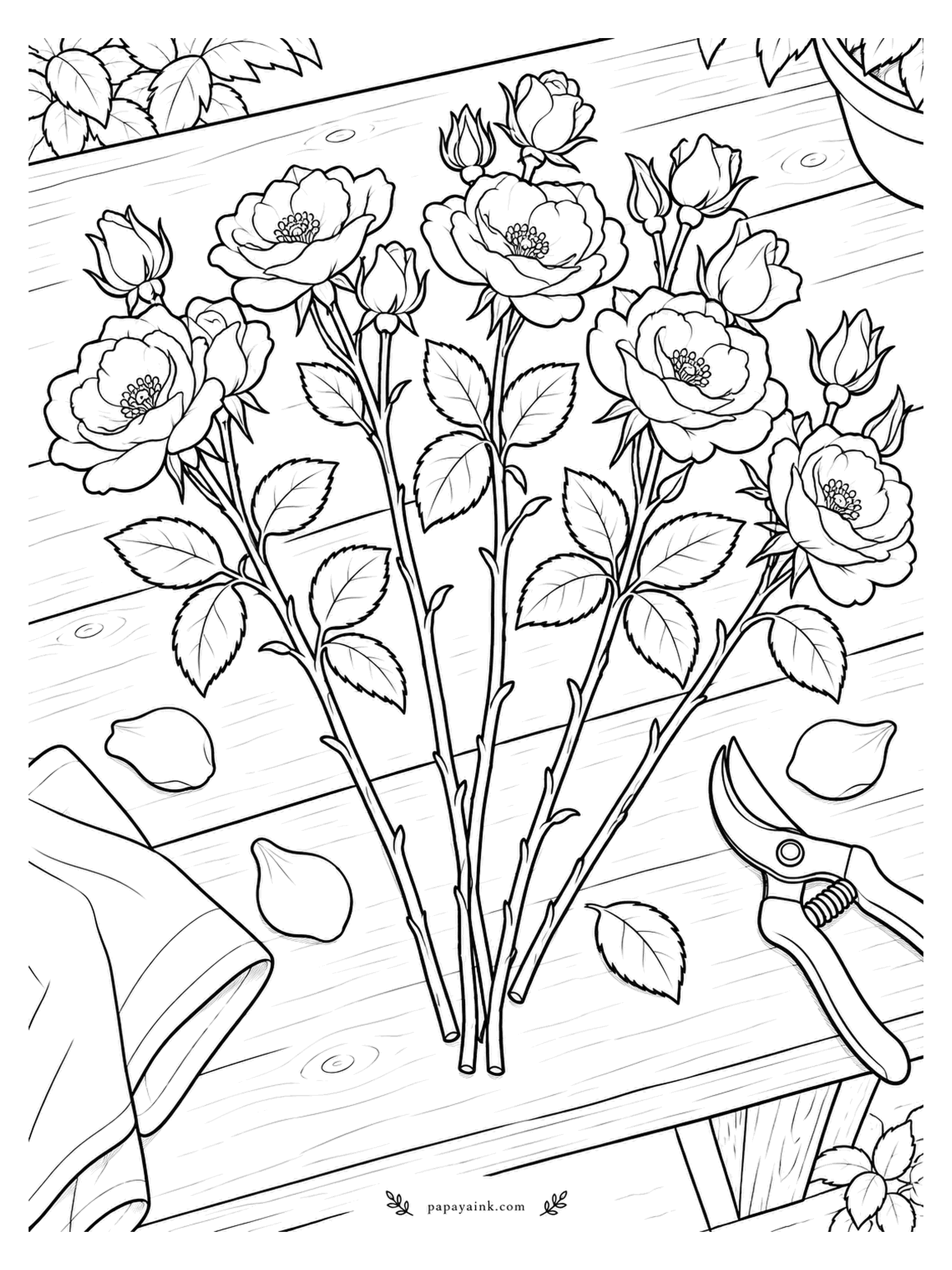 Rose Coloring Pages - Before arranging comes sorting. Long stems lie fanned out on a workbench next to the pruners, a folded cloth and a few petals that came off on the way. Plenty of plain board here, so shade the grain lightly.