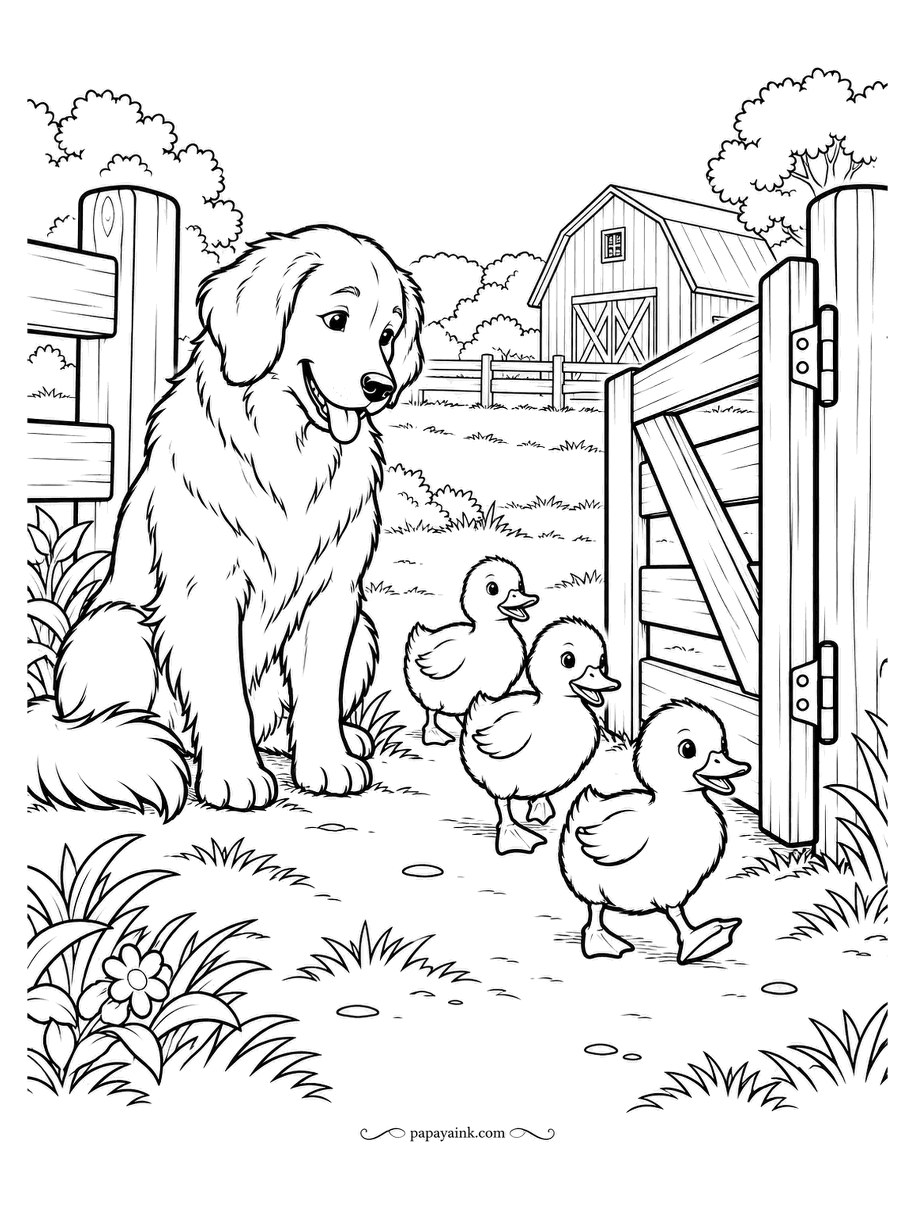 Farm Coloring Pages - Golden retriever sitting at an open gate while three ducklings file past his paws. He has been told to stay, and he is staying. Long fur in warm gold, the ducklings in a lighter yellow so they read against him.