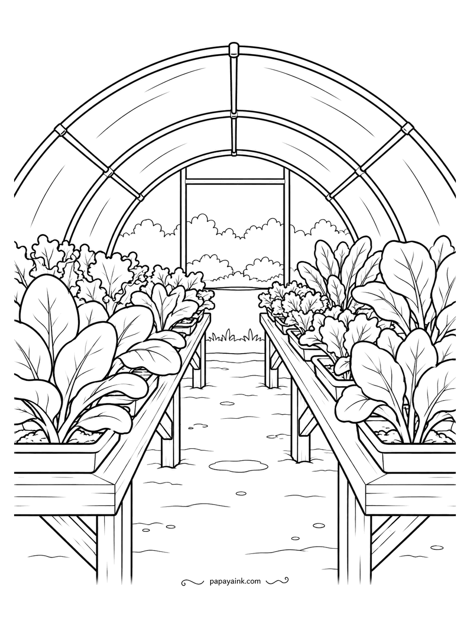 Farm Coloring Pages - Hoop greenhouse with both ends open, two benches of broad-leaf seedlings running toward the sky. Lettuce on one side, spinach on the other, all outgrowing their trays. Several shades of green do the work; the frame can stay nearly white.