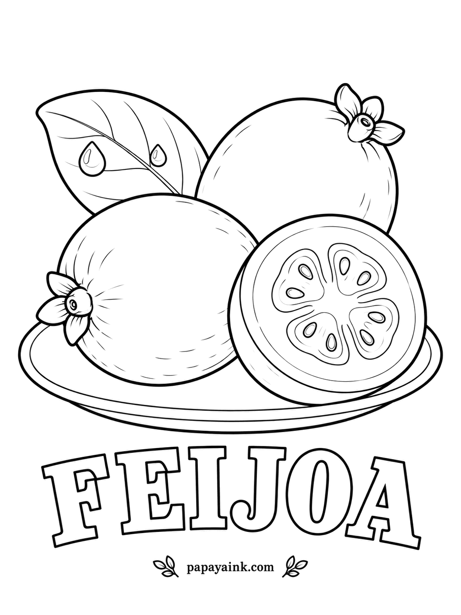 Printable Fruit Coloring Pages - Feijoas keep their dried flower on the end, which is why the whole ones wear a little crown. Dull green peel, cream flesh and a clear jelly center around the seeds; shops often sell them as pineapple guava.