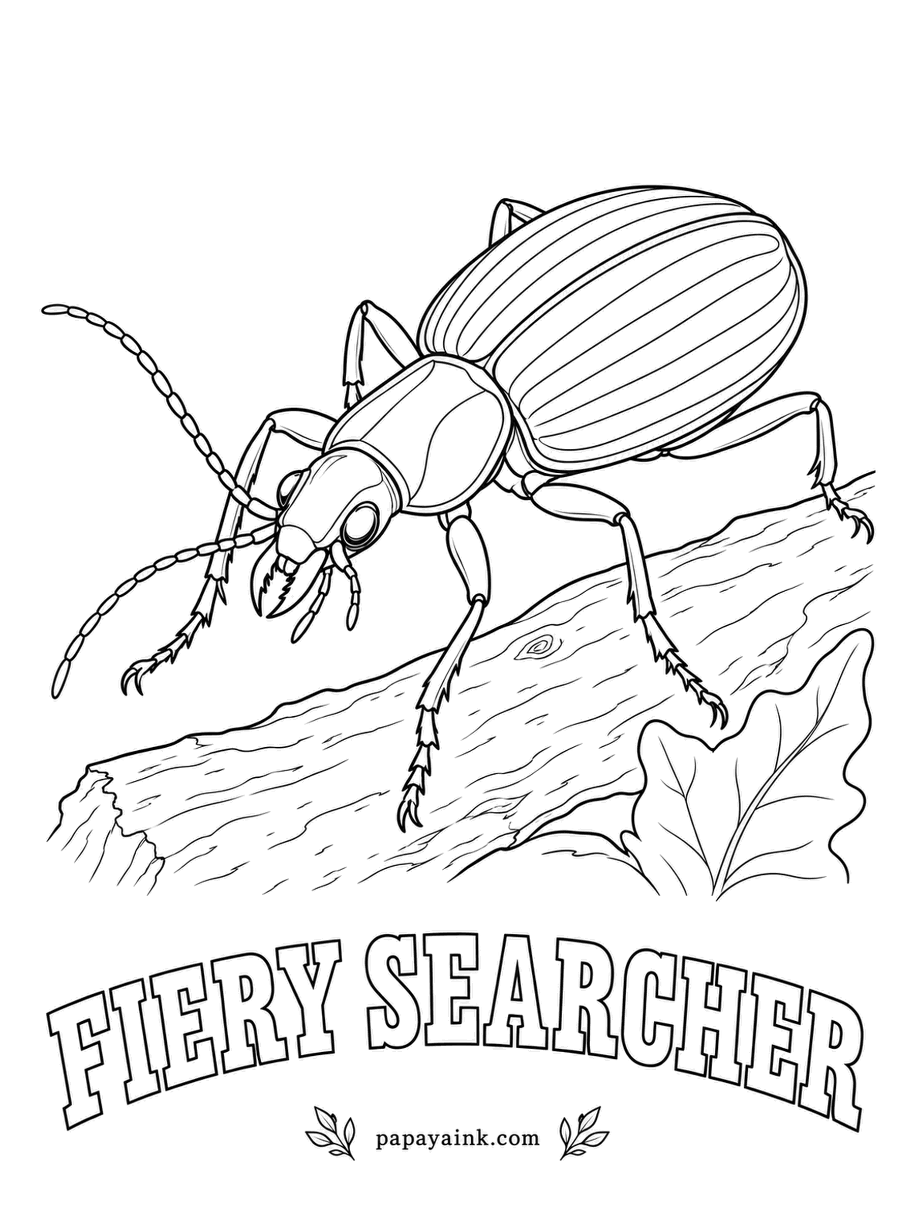 Beetle Coloring Pages - Up a tree trunk and into the canopy goes the fiery searcher, hunting caterpillars branch by branch. Its wing covers are brilliant green with red-gold edges, and the collar gleams purple. Detailed ridges on the shell.