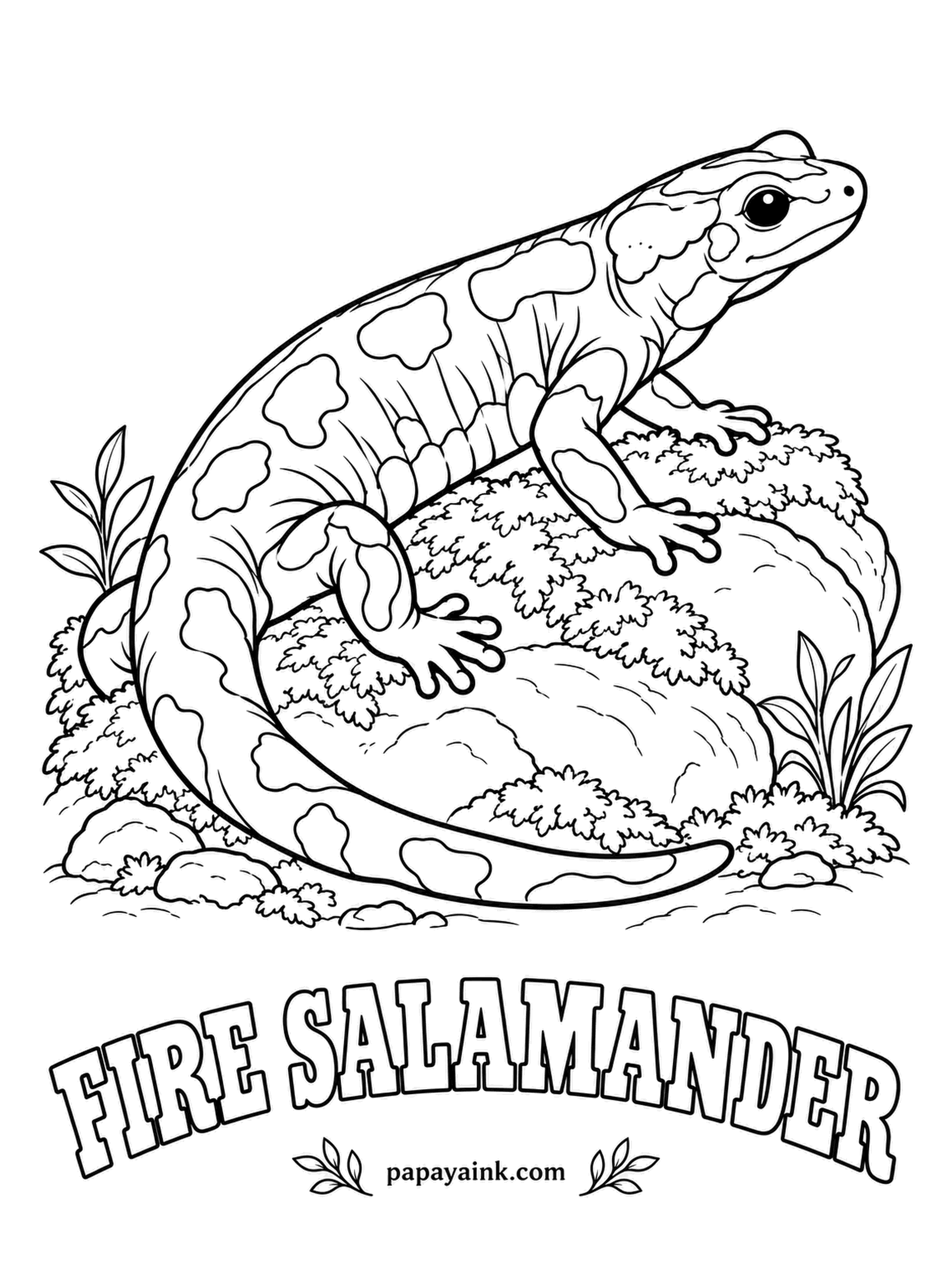 Amphibian Coloring Pages - Medieval writers swore the fire salamander was born in flames, because it crawled out of logs thrown on the fire where it had been hiding. Some have lived for decades. Deep black with lemon yellow patches or stripes, every edge crisp.