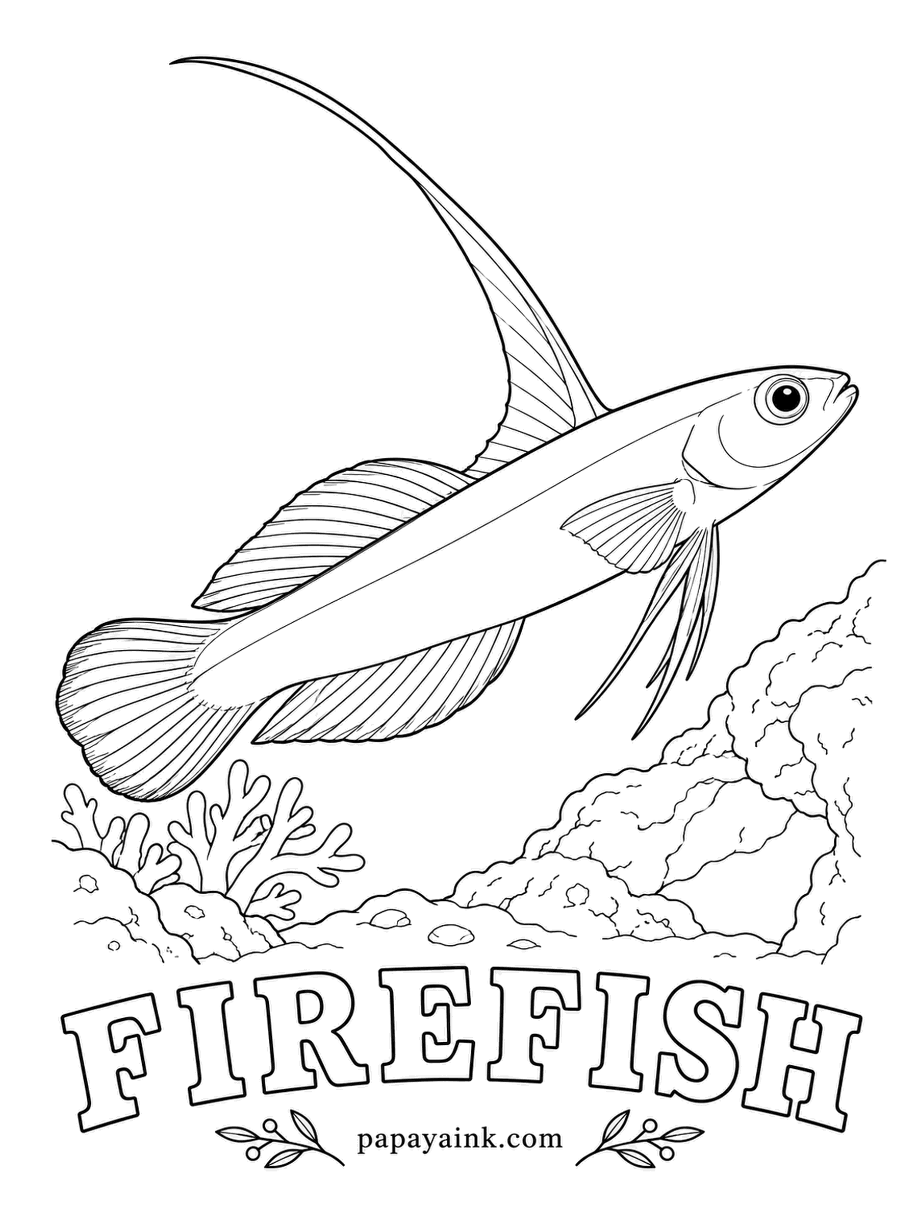 Ocean Fish Coloring Pages - Firefish hover just above their burrows and flick the tall front spine as a signal. At the first sign of danger they dart back in. White to soft yellow at the head, deepening to fiery red-orange toward the tail.