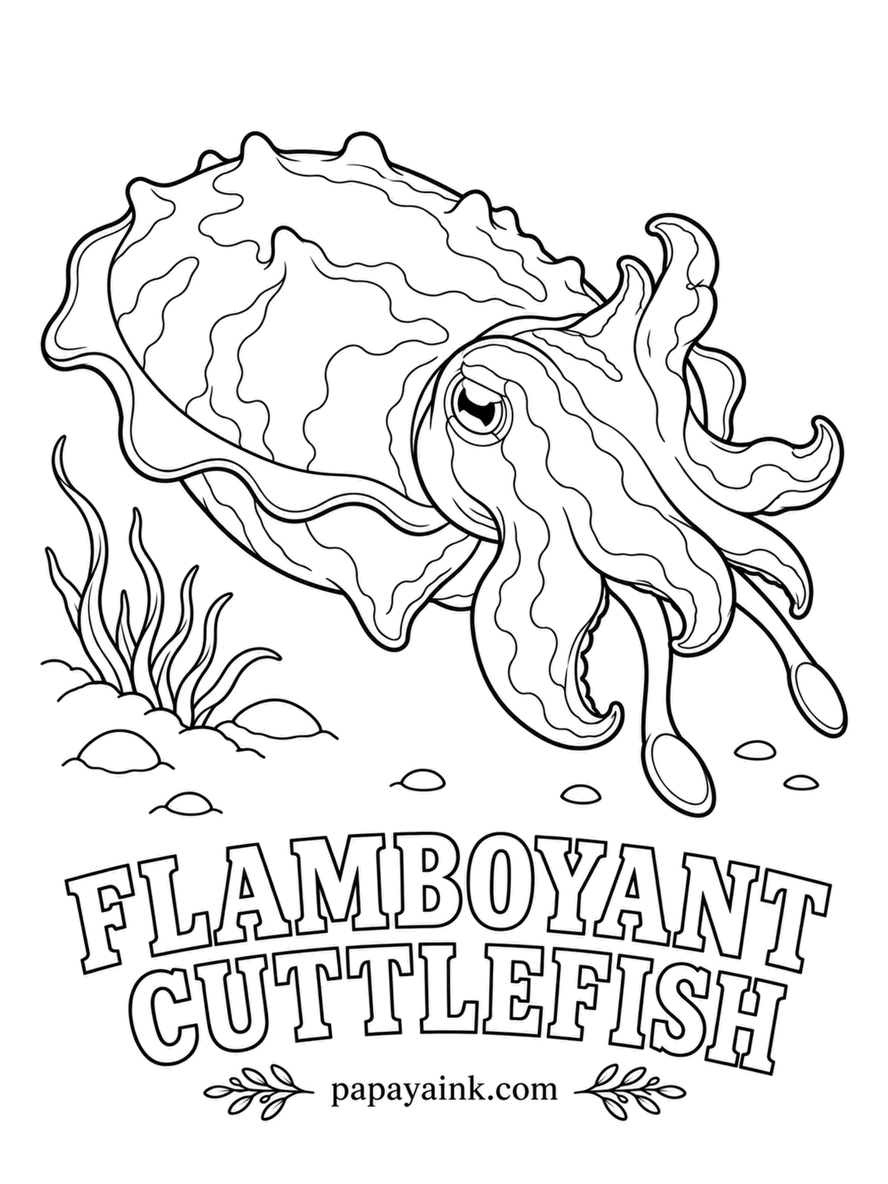 Sea Creature Coloring Pages - Rather than swim, it walks along the bottom on two arms and a pair of flaps, flashing purple, yellow and crimson as it goes. The bright colors are a warning: its flesh is toxic. In real life it would fit in a hand. Go loud.