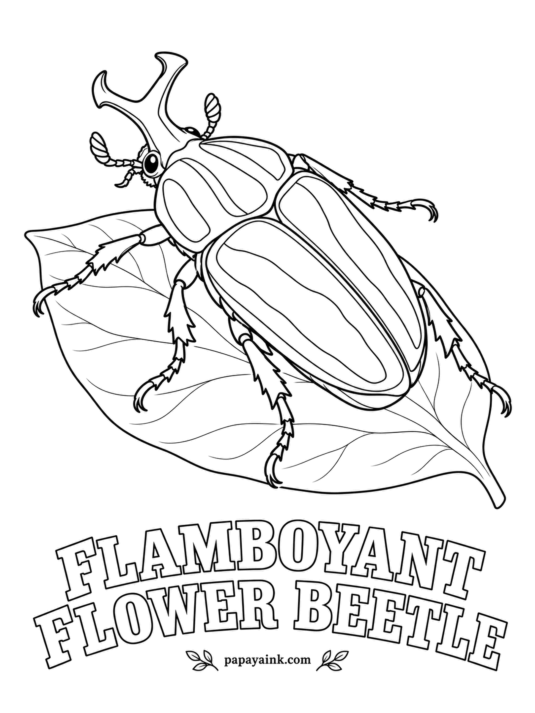 Beetle Coloring Pages - Wearing the forked horn of a much bigger beetle, this African flower chafer is only about an inch and a half long. Real ones shine in metallic greens, often edged in a warmer color, so a bright highlighter outline is fair game.