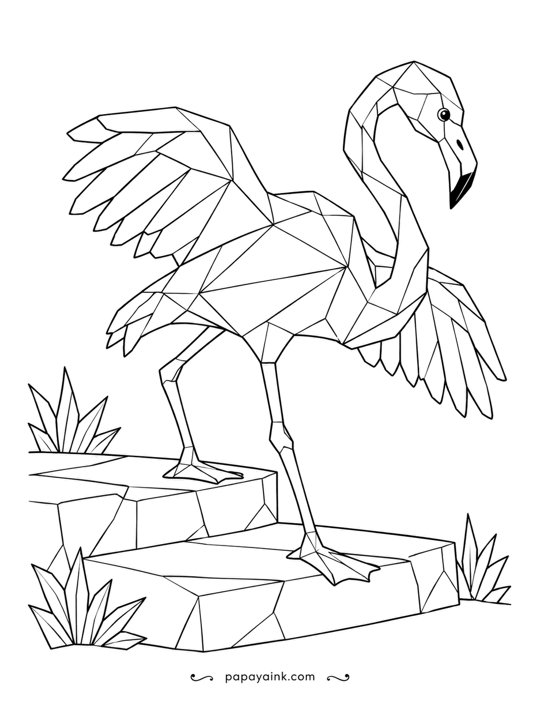 Flamingo Coloring Pages - Two stone steps down, one long leg at a time. What looks like a backward knee on a flamingo is actually its ankle; the real knee hides up under the feathers. Faceted style - shade each plane separately.