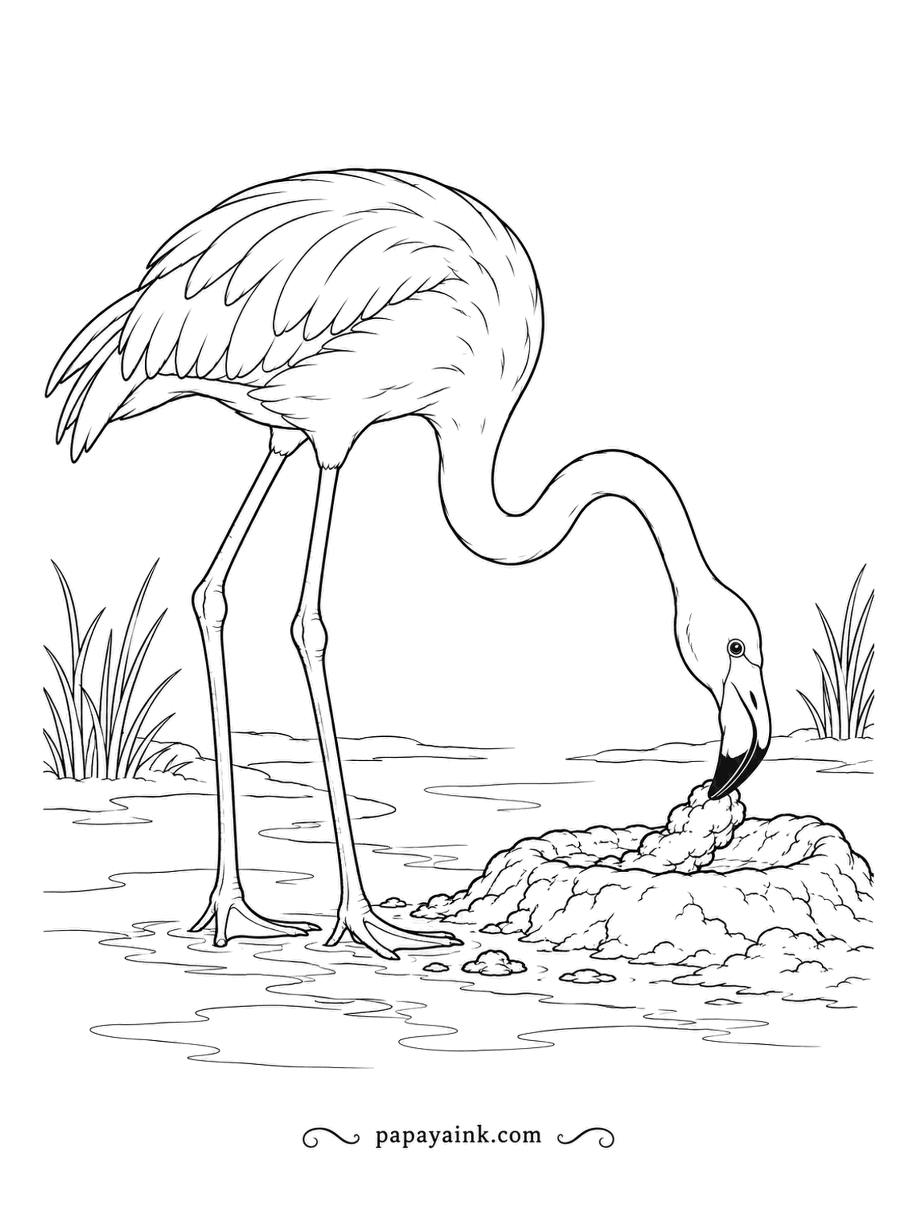 Flamingo Coloring Pages - Mud mounds make flamingo nests, built up with the bill and topped with a shallow dip for a single egg. This one is still under construction at the water's edge. Realistic style - earthy browns and soft pink.