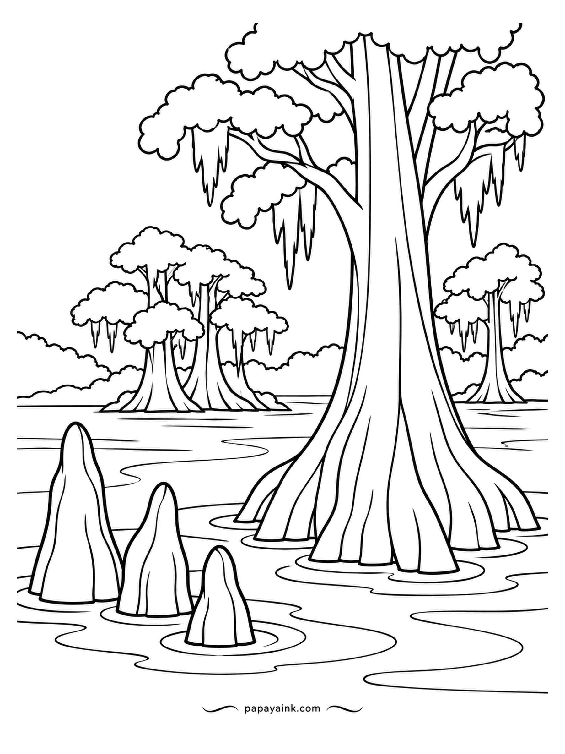 Nature Coloring Pages - Bald cypresses stand knee-deep in a southern swamp, trunks flared at the base, branches hung with Spanish moss. The pointed stumps in the water are cypress knees, and they belong to the tree. Tea-brown water and silver moss, if you want it true.