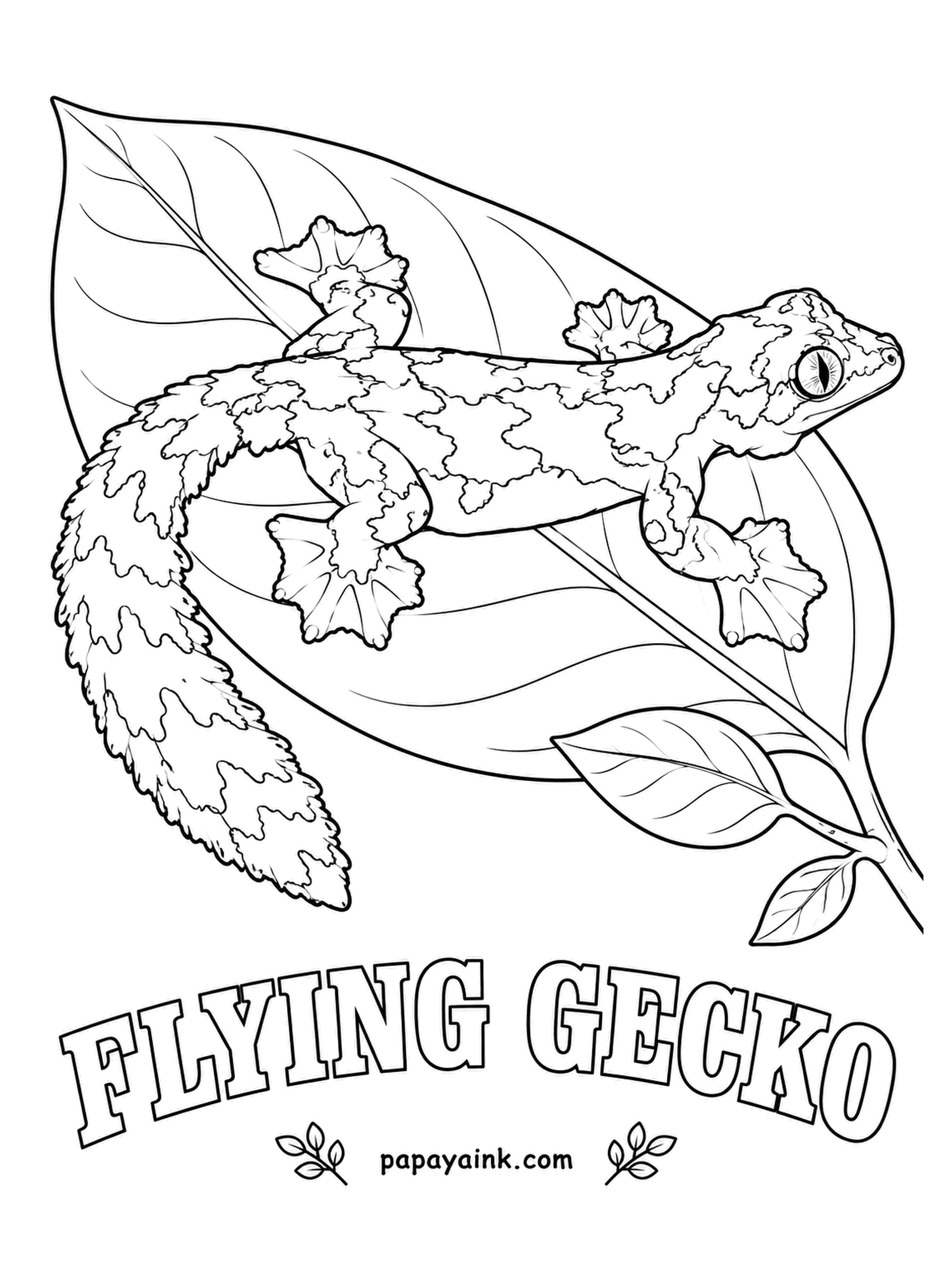 Reptile Coloring Pages - Gliding, not flying, but the trees cannot tell. Skin flaps on the sides, webbed toes and a fringed tail carry a flying gecko from one rainforest trunk to the next. Mottled gray and brown, a patch of bark that decided to move.