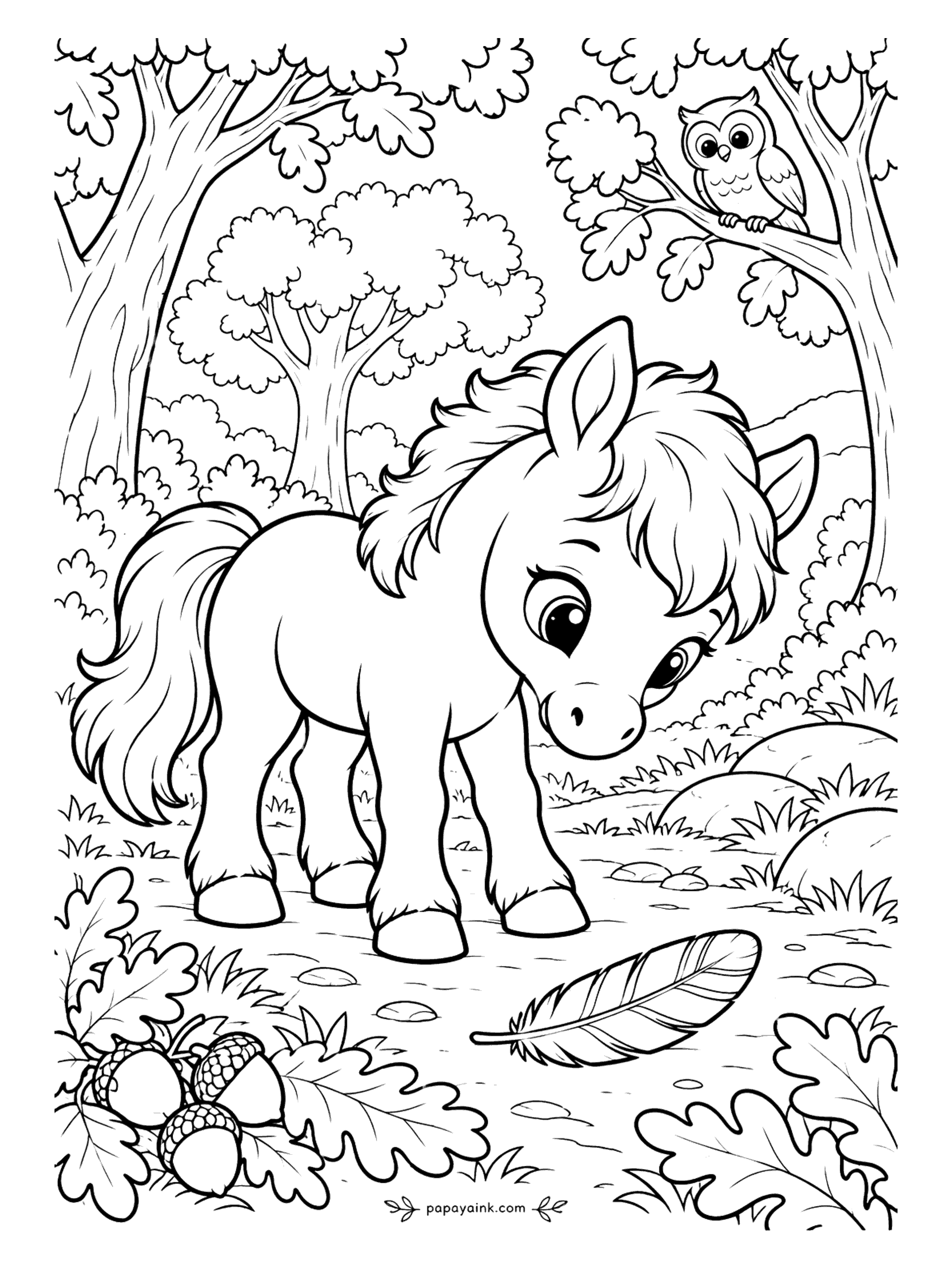 Cute Horse Coloring Pages - An owl in the oak has dropped a feather, and the foal has found it on the path. Acorns and oak leaves fill the corner. Try a striped feather - brown and cream bands - against green grass. Detailed.