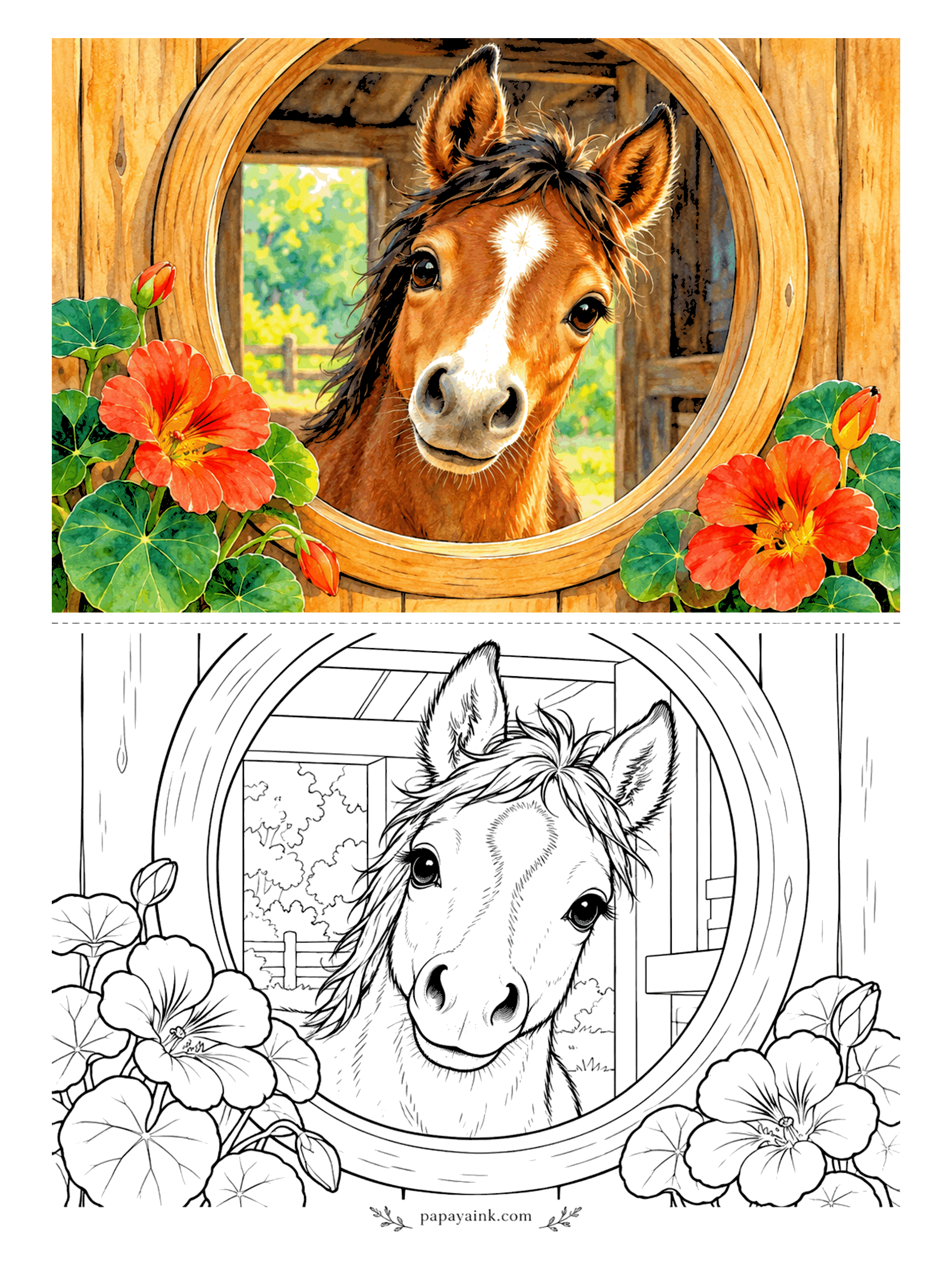 Cute Horse Coloring Pages - A face in the round barn window: forelock, white blaze, and a grin. Nasturtiums climb both sides of the frame with the meadow visible behind. Warm wood for the circle, bright orange for the flowers.
