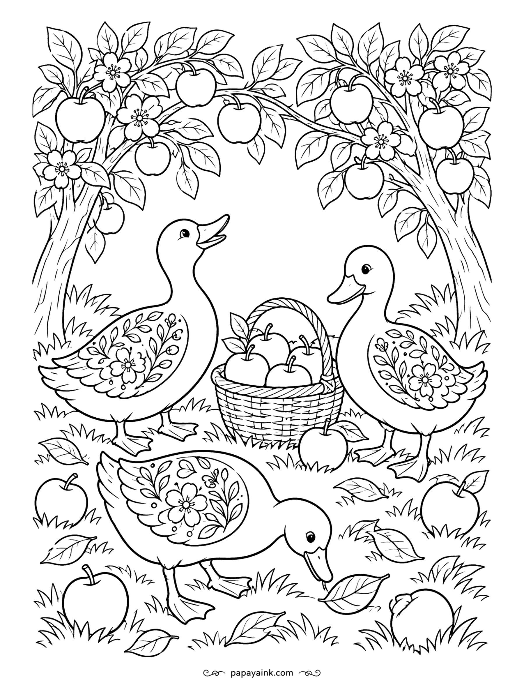 Duck Coloring Pages - Folk art rules: flowers grow on the wings, apples grow everywhere else. Three painted ducks gather around a basket of fruit under blossoming branches. Strong reds, blues and yellows look right in this style.
