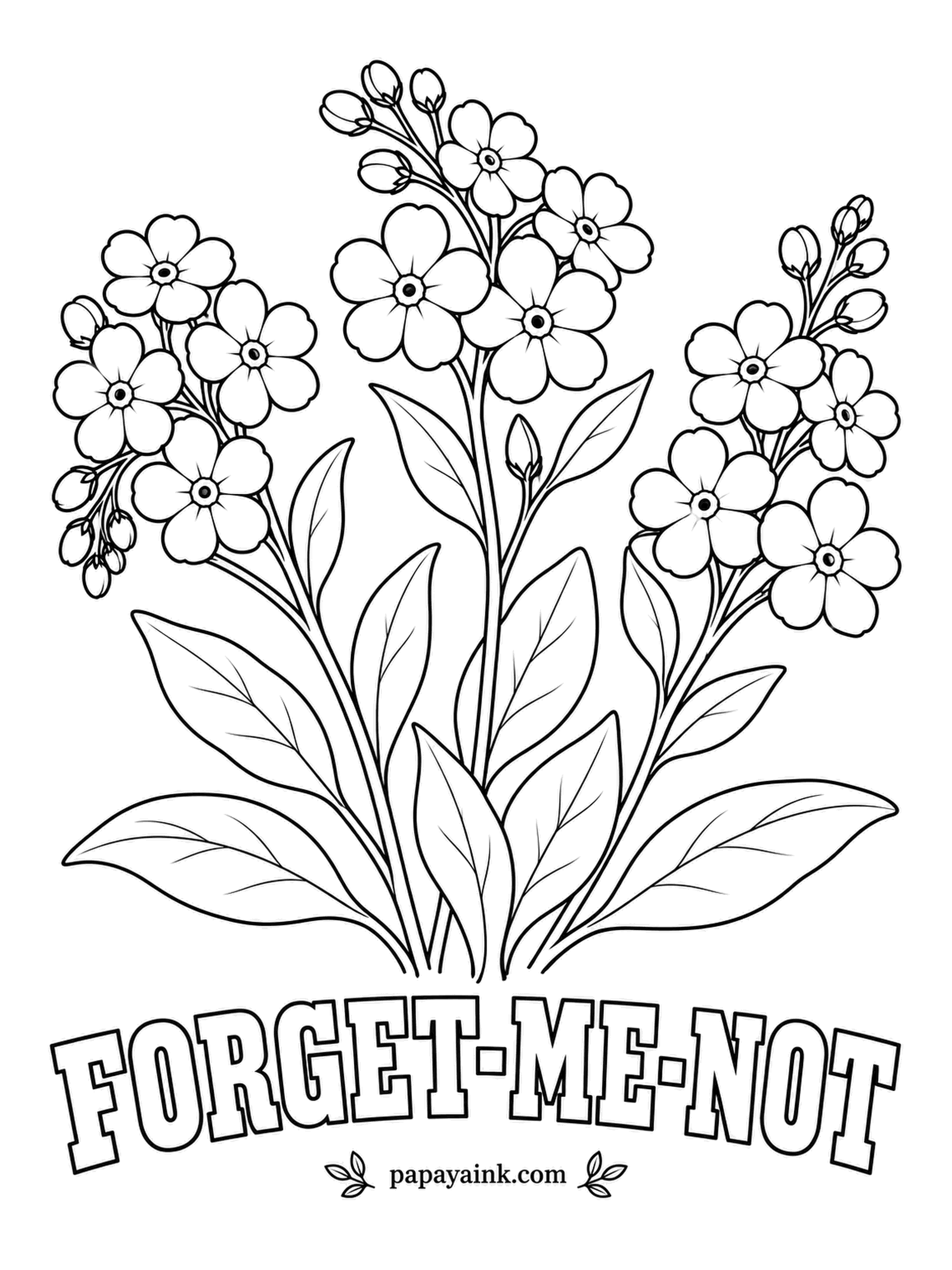 Free Flower Coloring Pages - Pink in the bud, sky blue once open: Alaska's state flower changes color as each blossom matures. Add a tiny yellow eye to every flower and tint a few unopened buds rose. Detailed.