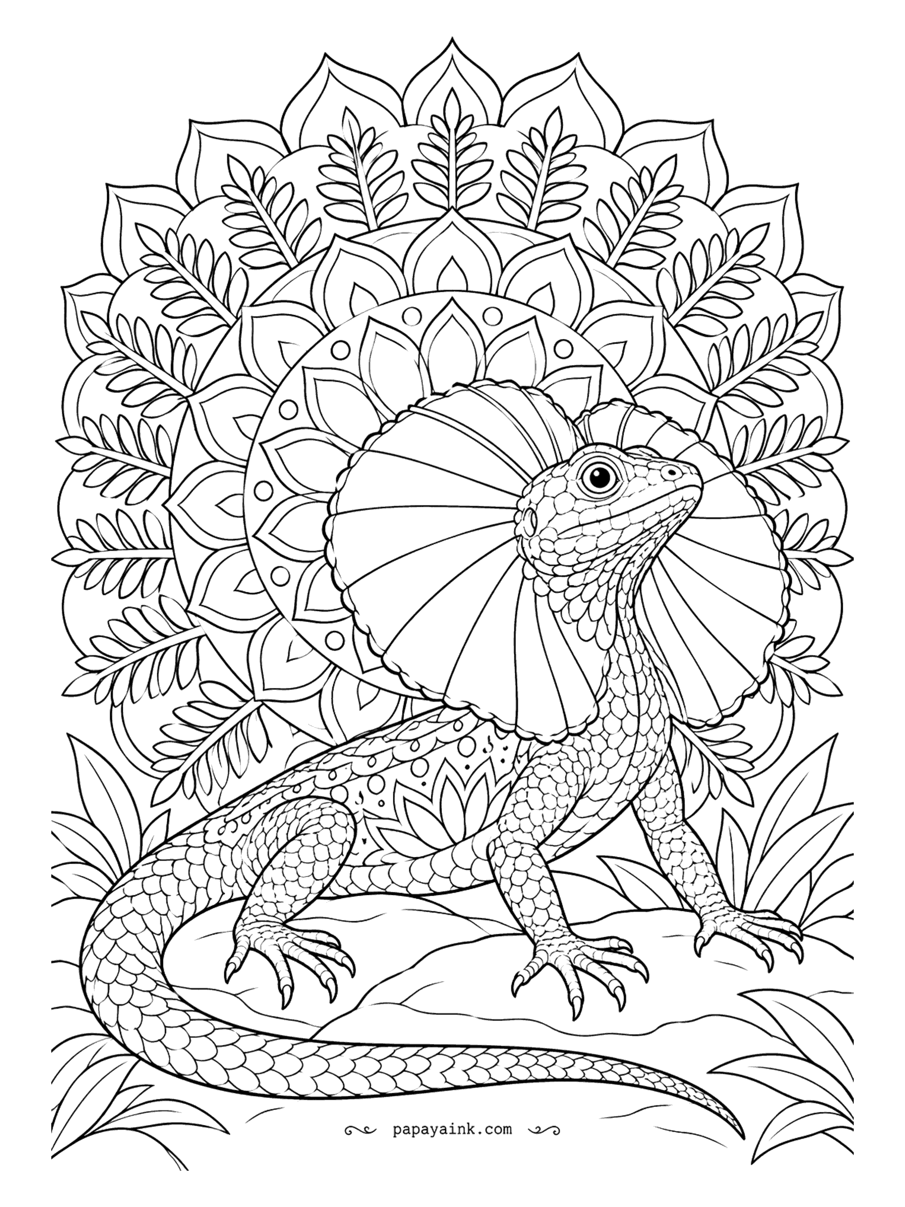 Lizard Coloring Pages - The frill is open - a frilled lizard in full display, standing at the center of a mandala of petals and fern fronds. Work from the middle outward and alternate two colors per ring. Detailed; a long, meditative sheet.