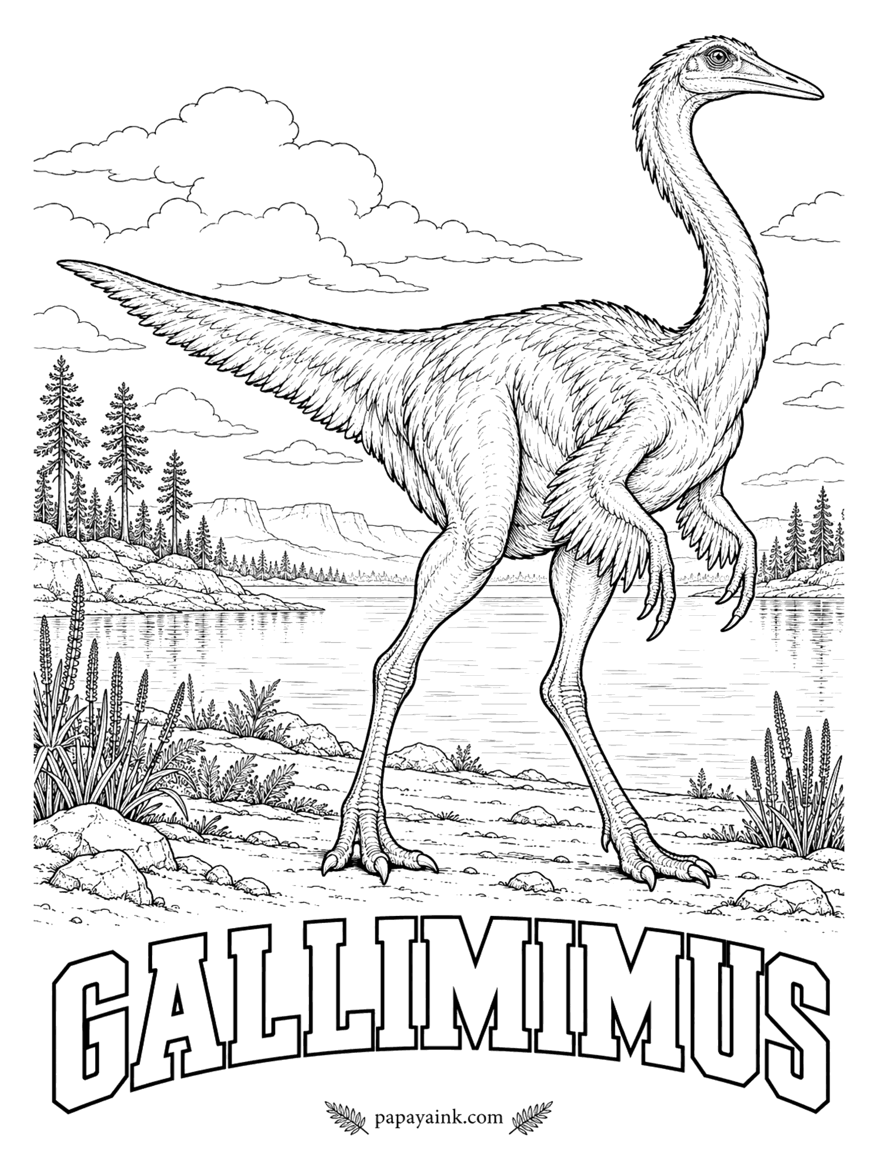 Free Printable Dinosaur Coloring Pages - Built like an ostrich, and a fast runner. Gallimimus (GAL-ih-MY-mus, chicken mimic) had long legs, a toothless beak and big eyes on the sides of its head, and likely ate both plants and small animals. About 20 feet long. Mongolia, about 70 million years ago.