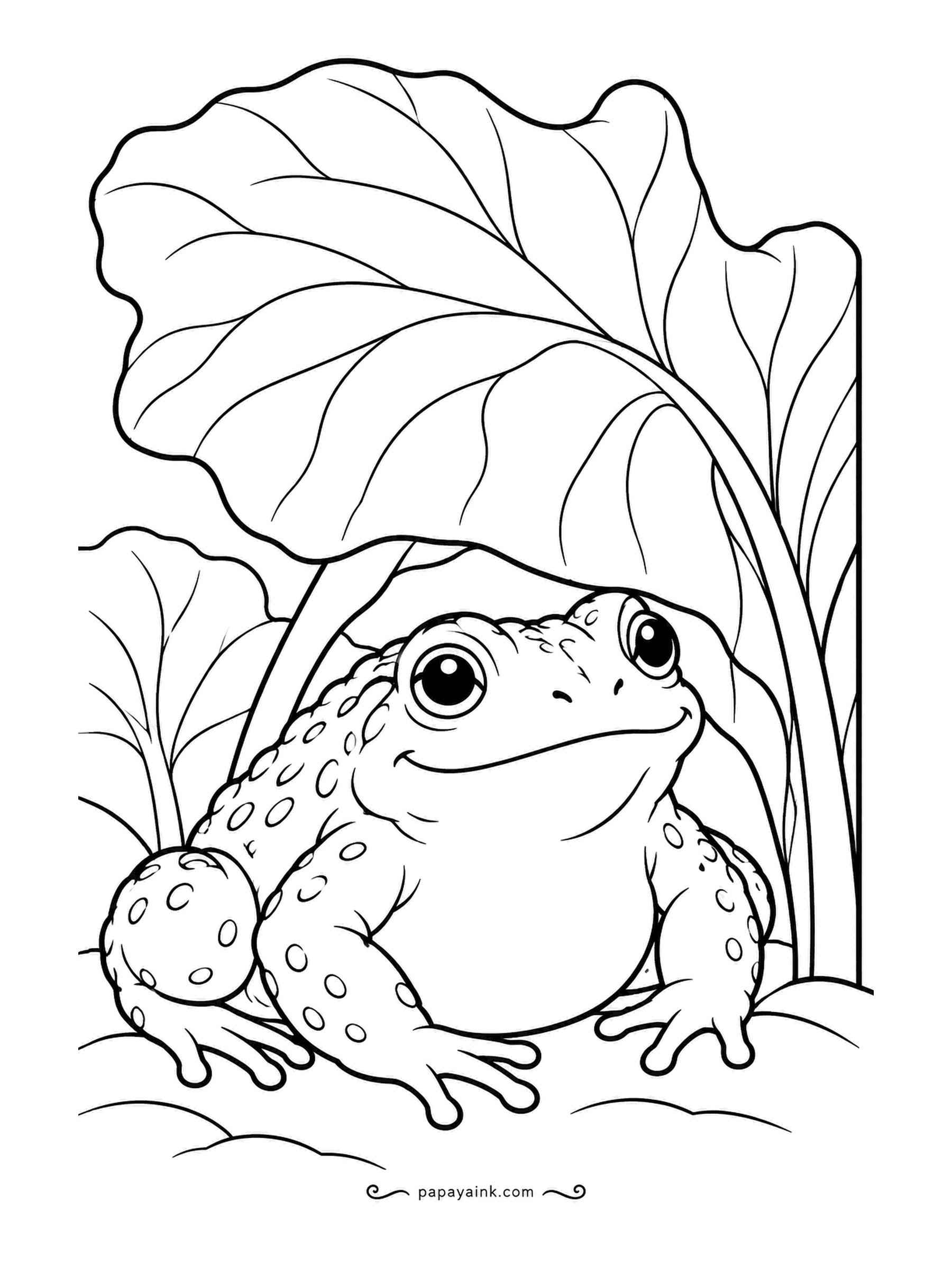 Garden Coloring Pages - A warty toad has found the shade under a huge rhubarb leaf, exactly where a real one would spend the afternoon. Toads are brown and mottled, not green; shade the leaf veins lighter than the blade and the rhubarb stalk a dull red.