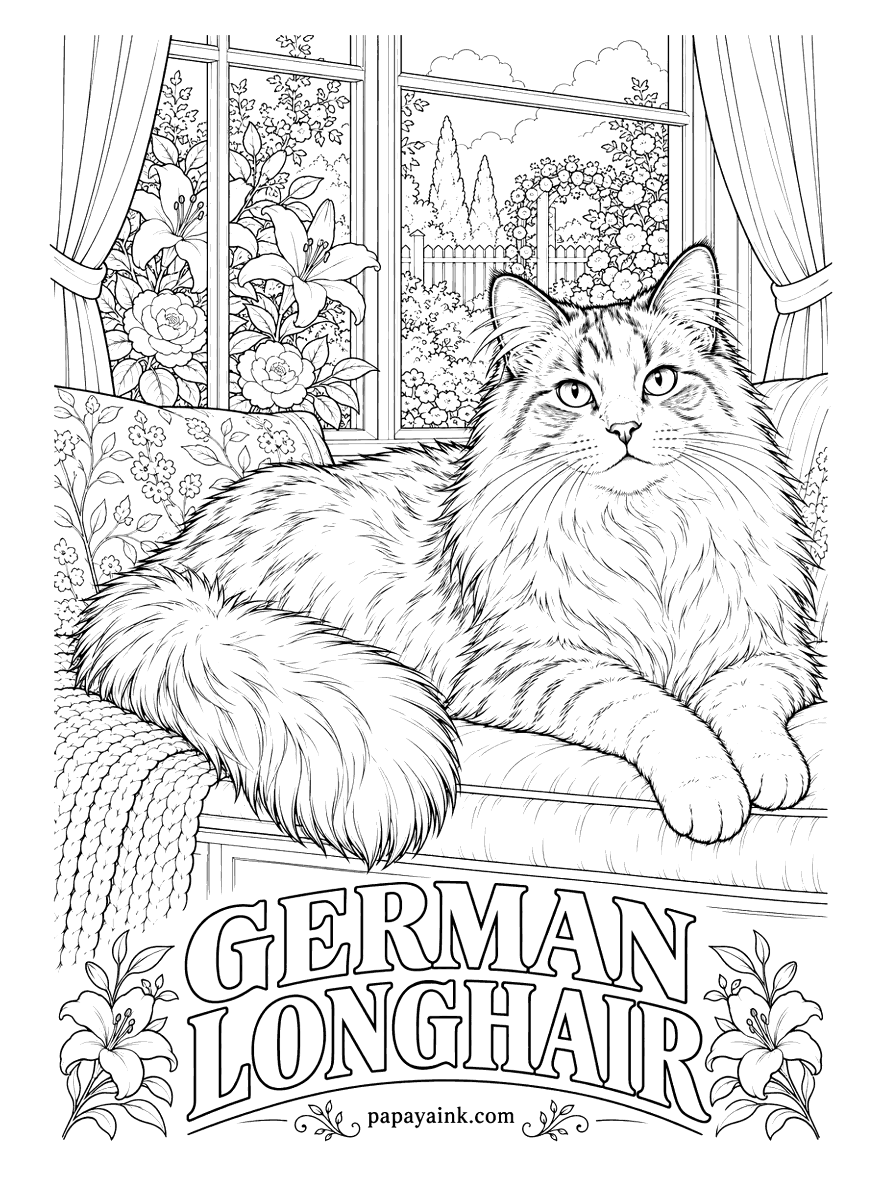 Free Printable Cat Coloring Pages - Germany's own longhaired breed dates to the nineteen thirties and looks sturdier than a Persian, with a normal face and a silky semi-long coat. Any color is seen. Stroke the fur away from the face and let the tail fan out across the seat.