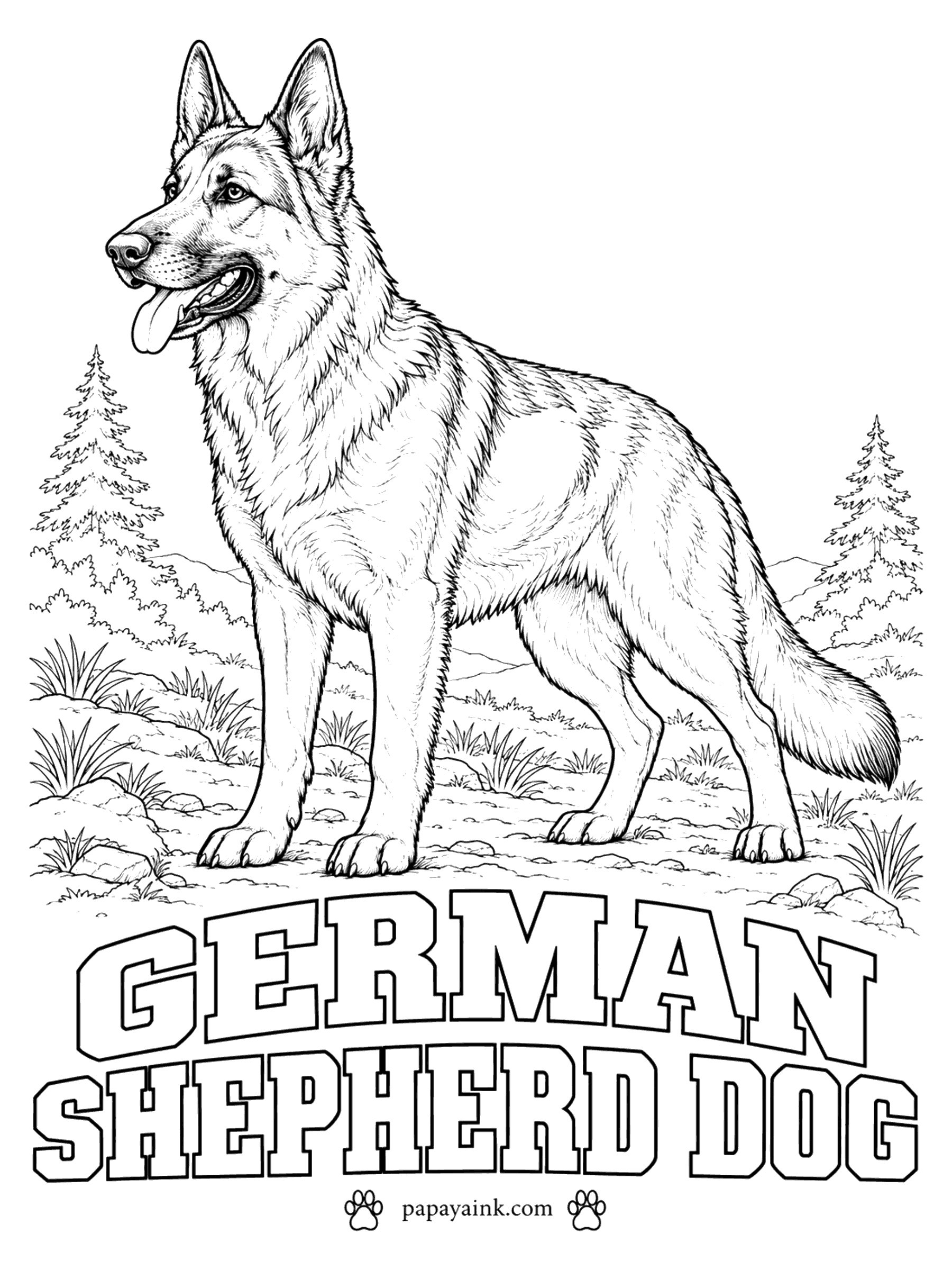 Free Printable Dog Coloring Pages - Ears up, eyes fixed on something off the page: the German shepherd dog. Most are black and tan, with a black saddle across the back, black on the muzzle, and tan to deep red on the legs, chest and cheeks.