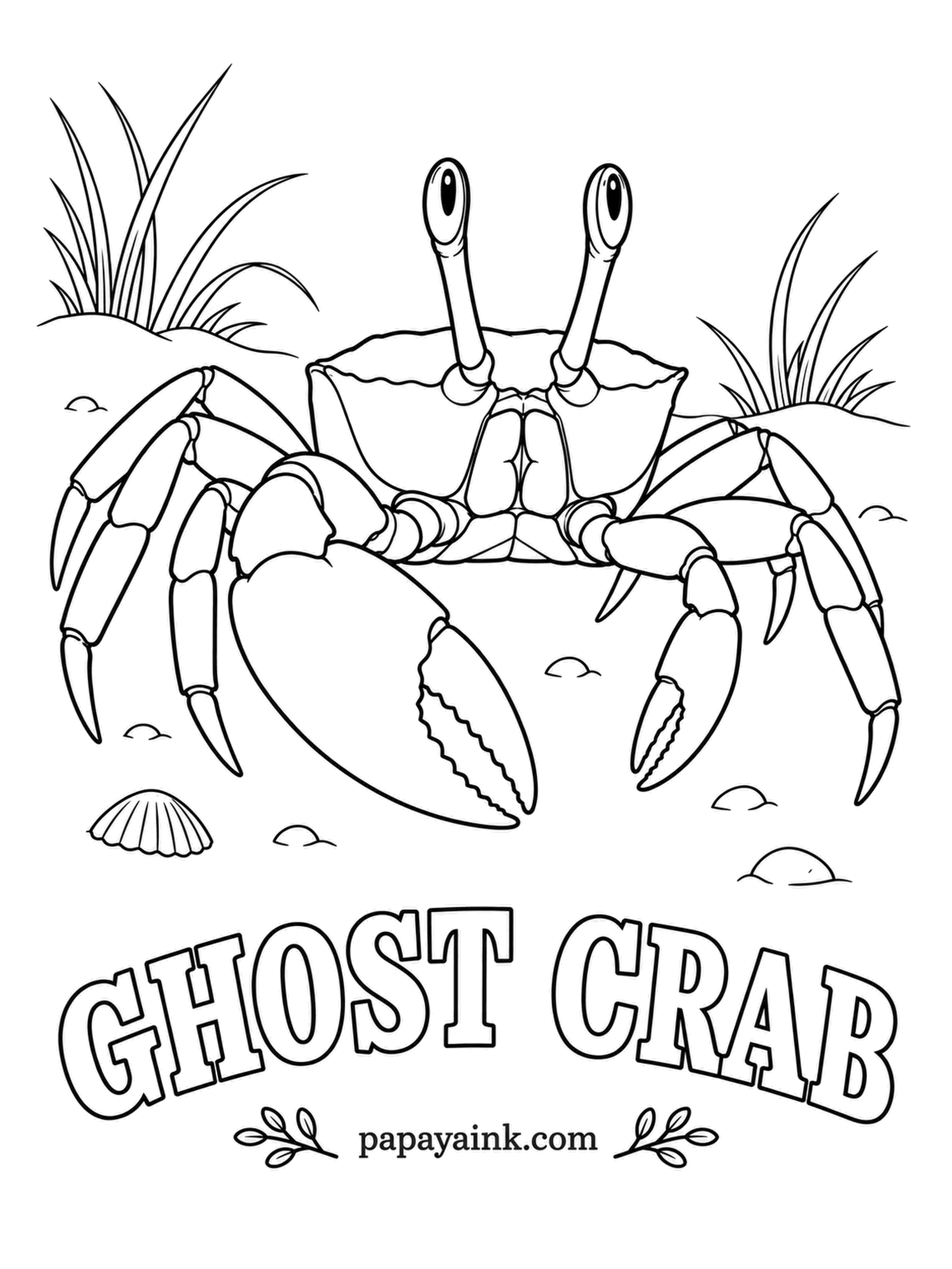 Sea Creature Coloring Pages - Eyes on stalks give it a view in nearly every direction, and pale sandy armor lets it vanish on a beach the moment it stops running. It even growls, by rubbing ridges on its claw. Sand beige all over, claws a shade whiter.