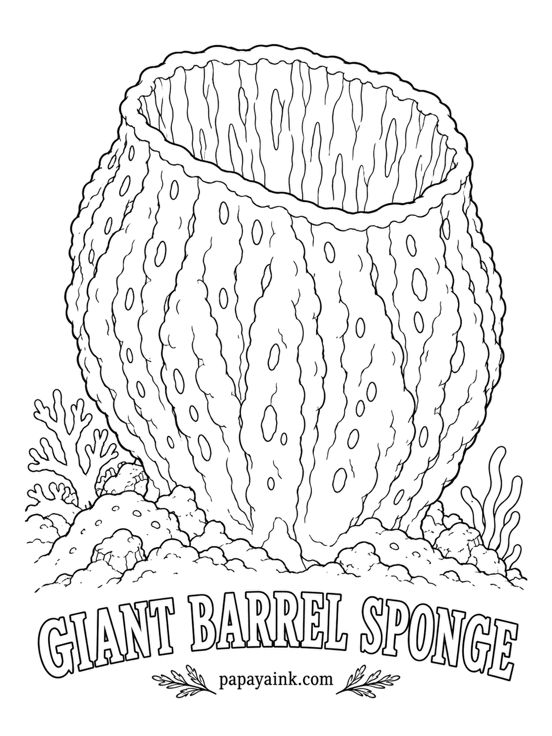 Sea Creature Coloring Pages - Nicknamed the redwood of the reef, it grows roomy enough for a person to climb inside, and some are thought to be over a thousand years old. Water seeps in through the walls and leaves by the open mouth. Reddish brown to rusty purple.