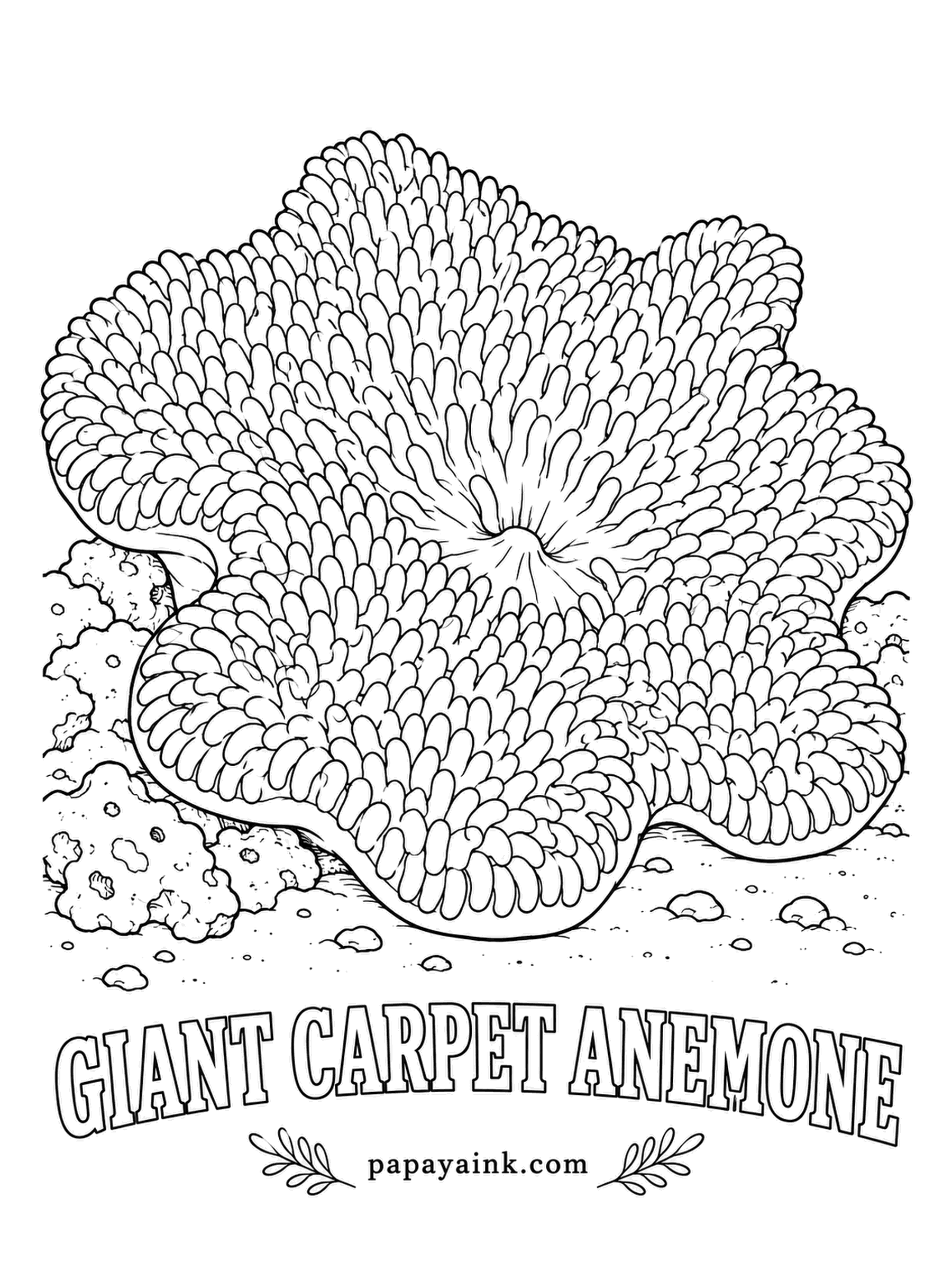 Sea Creature Coloring Pages - Thousands of short, sticky tentacles cover the disc in a shag carpet, and clownfish happily move in without getting stung. A large one spreads wider than a doormat. Green, blue, purple or tan; pick one and shade the folds darker. Detailed.