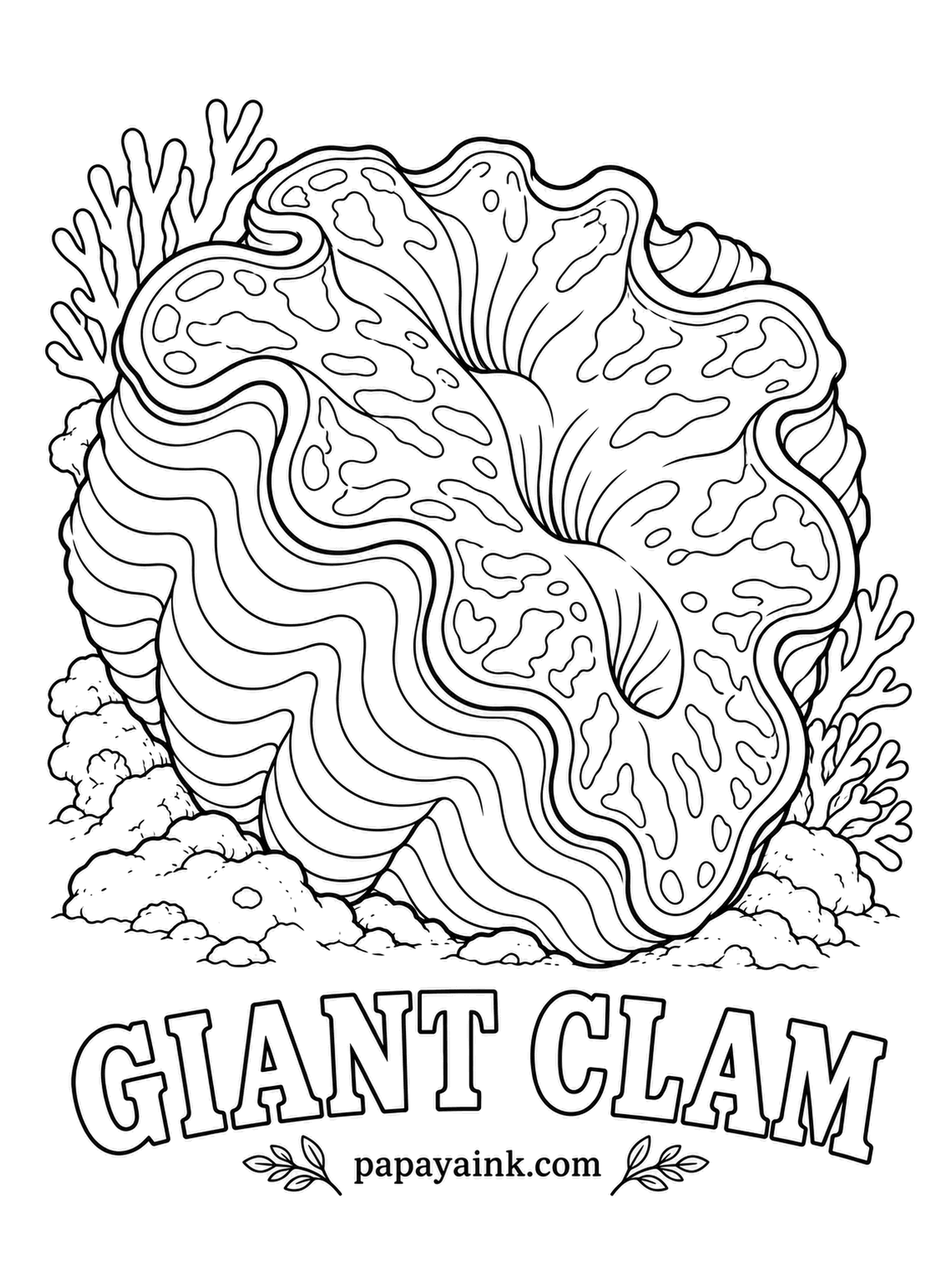 Sea Creature Coloring Pages - Forget the old movie trope: a giant clam closes too slowly to trap anything, let alone a diver. What it does do is farm algae in that wavy mantle and live off the sunlight they catch. Blue, green and violet patterns on a cream shell.