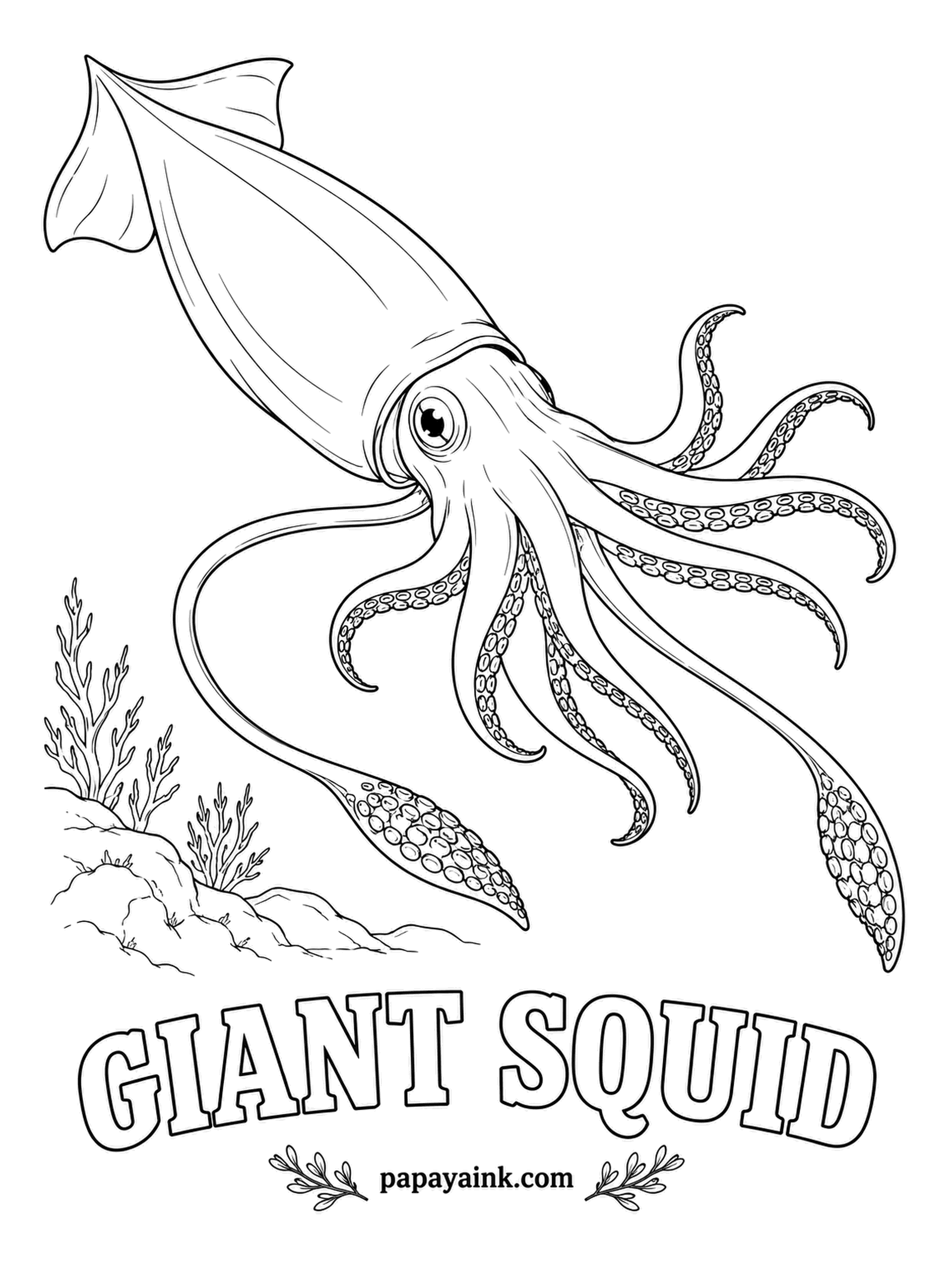 Sea Creature Coloring Pages - For centuries it was a sailor's story, and nobody filmed one alive in the deep until this century. Its eyes are the size of dinner plates, the biggest of any animal along with its colossal cousin. Brick red to pink, silvery around the eye.
