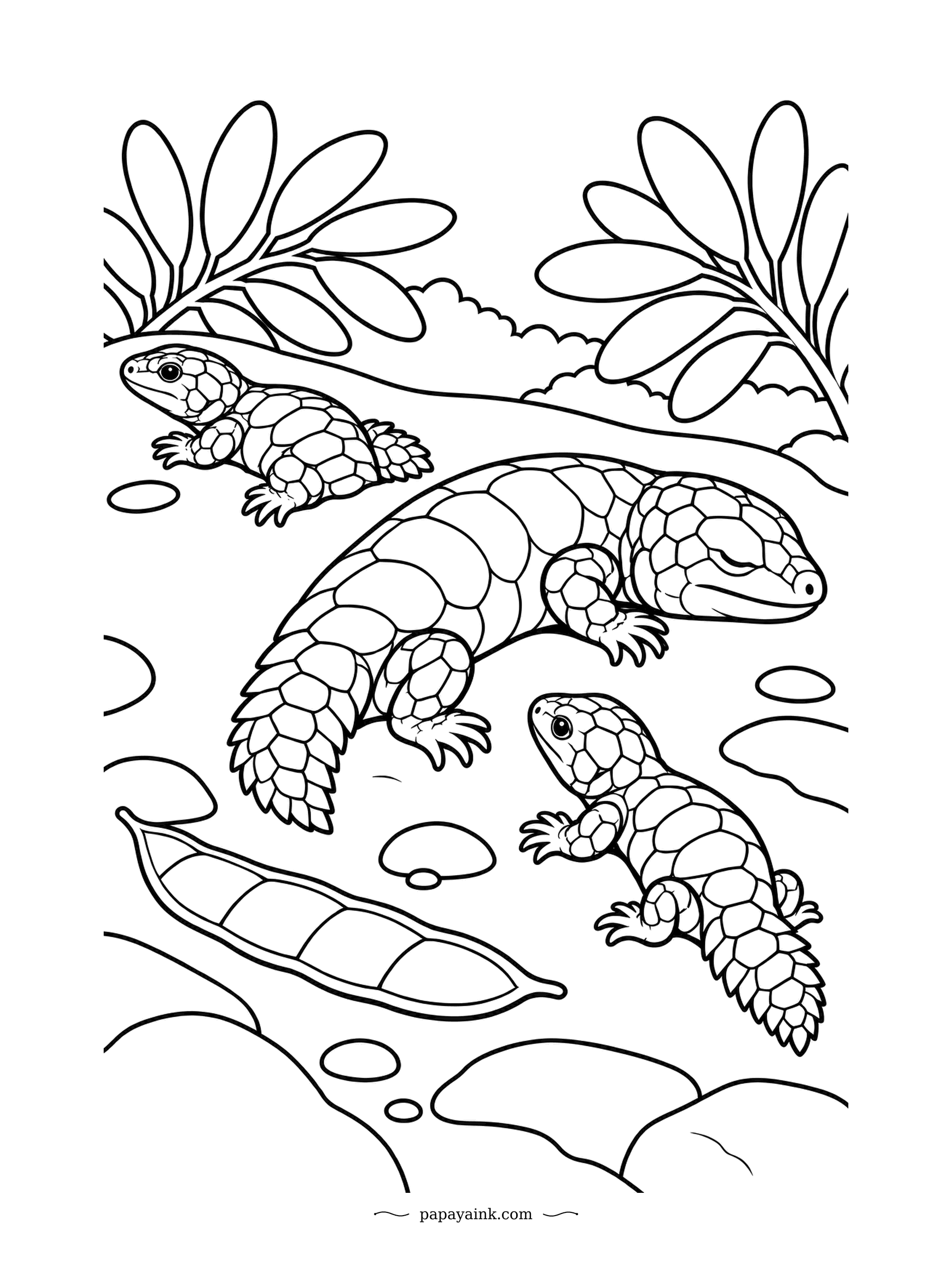 Lizard Coloring Pages - Gidgee skinks share burrows and sunny spots with relatives. Three of them doze in a warm patch beside a fallen seed pod. Bold rounded scales - big, satisfying shapes.