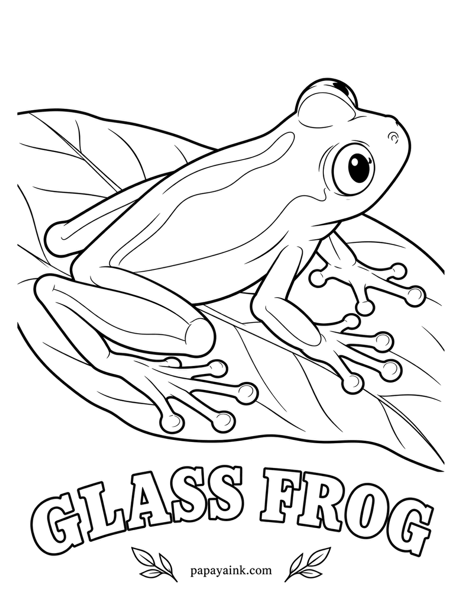 Amphibian Coloring Pages - Turn a glass frog over and you can watch its heart beat through the belly skin. While it sleeps, it parks most of its red blood cells in its liver to look even more see-through. Lime green on top, sprinkled with tiny yellow dots.