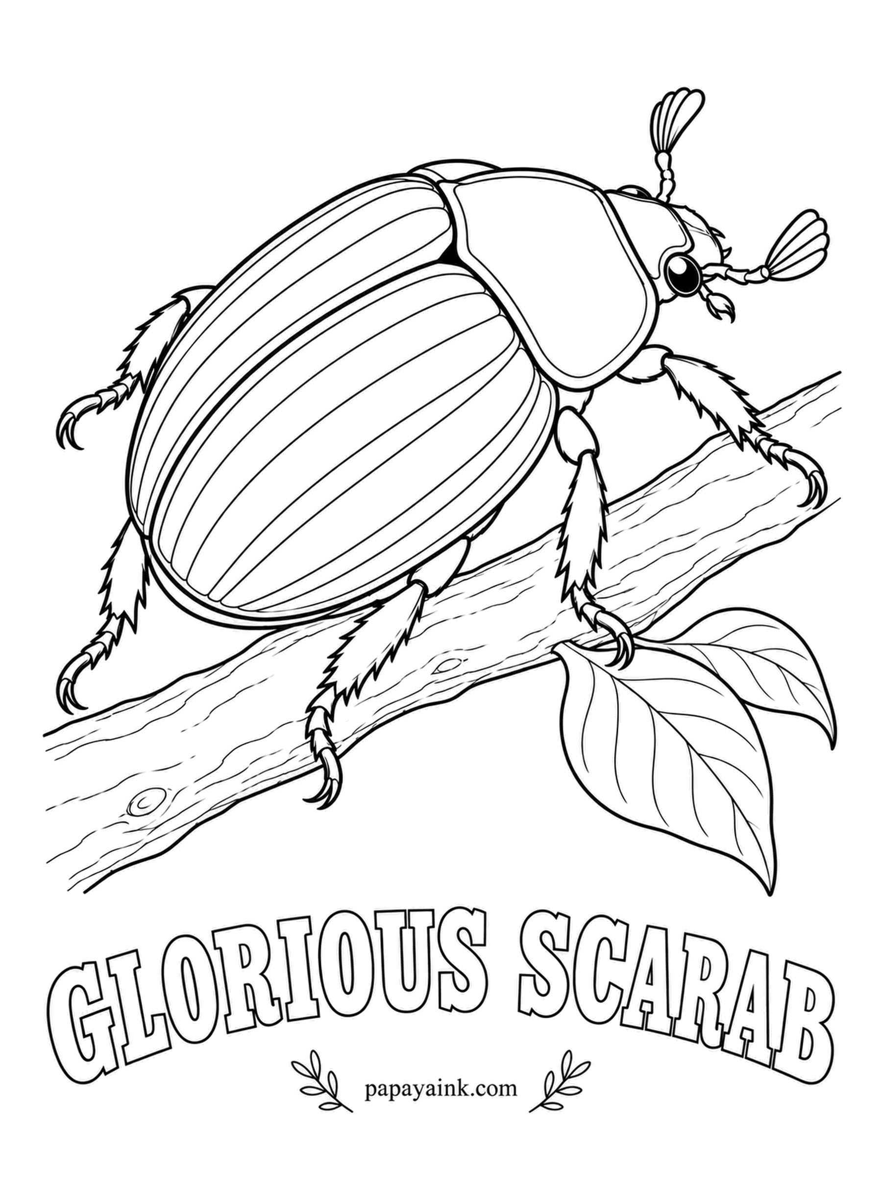 Beetle Coloring Pages - Living jewelry from the juniper woodlands of Arizona and Texas: the glorious scarab is leaf green with stripes of polished silver. Its shell even twists the light it reflects, a trick only special filters reveal. Pale green first, then silver gel pen on the stripes.
