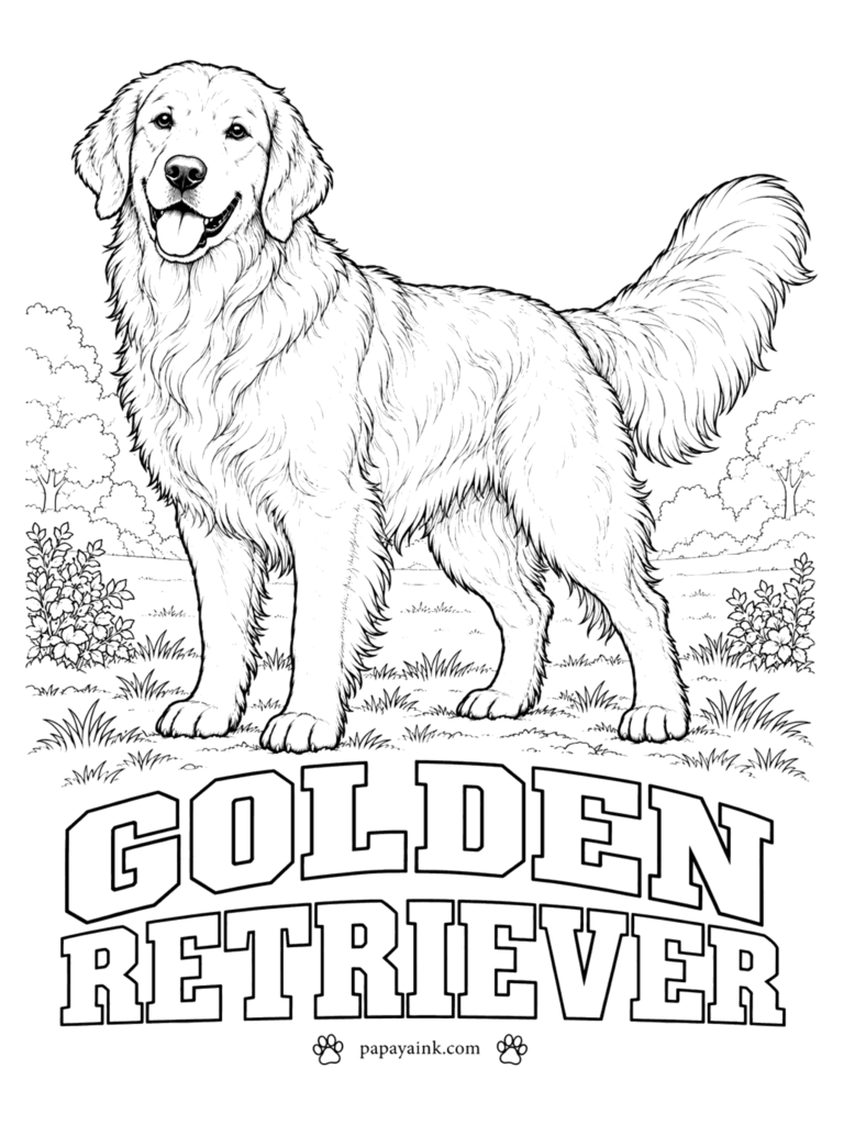 Free Printable Dog Coloring Pages - Standing square in a park, this golden retriever shows off the breed's long feathering. The coat can be anything from pale cream to deep red-gold; go a shade lighter on the fringes behind the legs, under the belly and along the tail. Detailed fur.