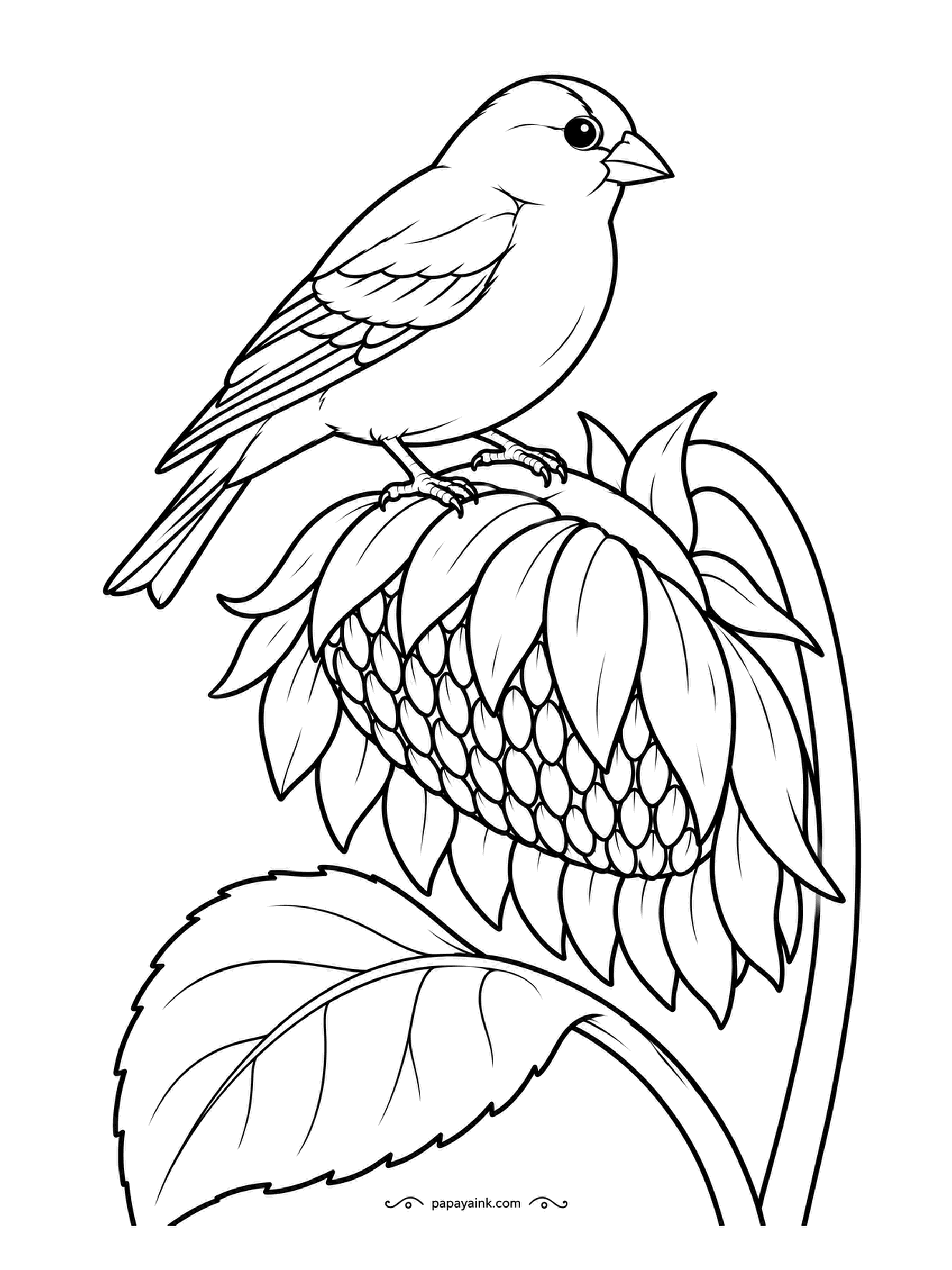 Garden Coloring Pages - Late summer: the sunflower has gone to seed and bent over, and a goldfinch has landed on it to pick at the seeds. Bright yellow body, black wings with a white bar, and the seed head in browns from tan to near black.
