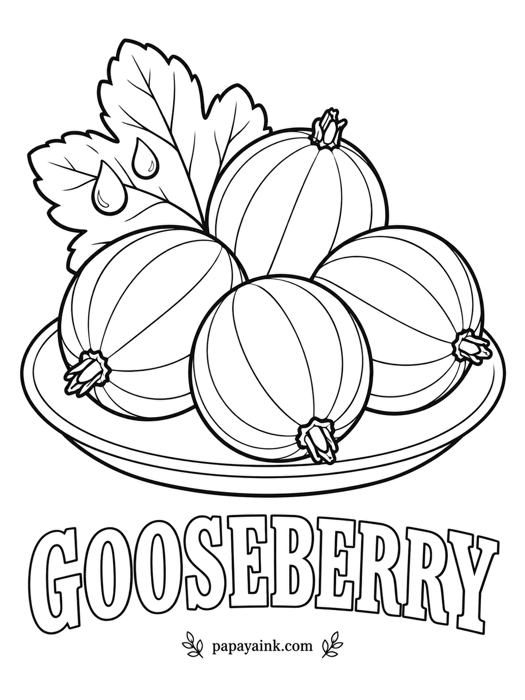Printable Fruit Coloring Pages - Fine lines run from top to bottom on every gooseberry, like the seams on a ball. Pale green and nearly see-through, or blushed red in some varieties, with a dry brown tuft at the end.
