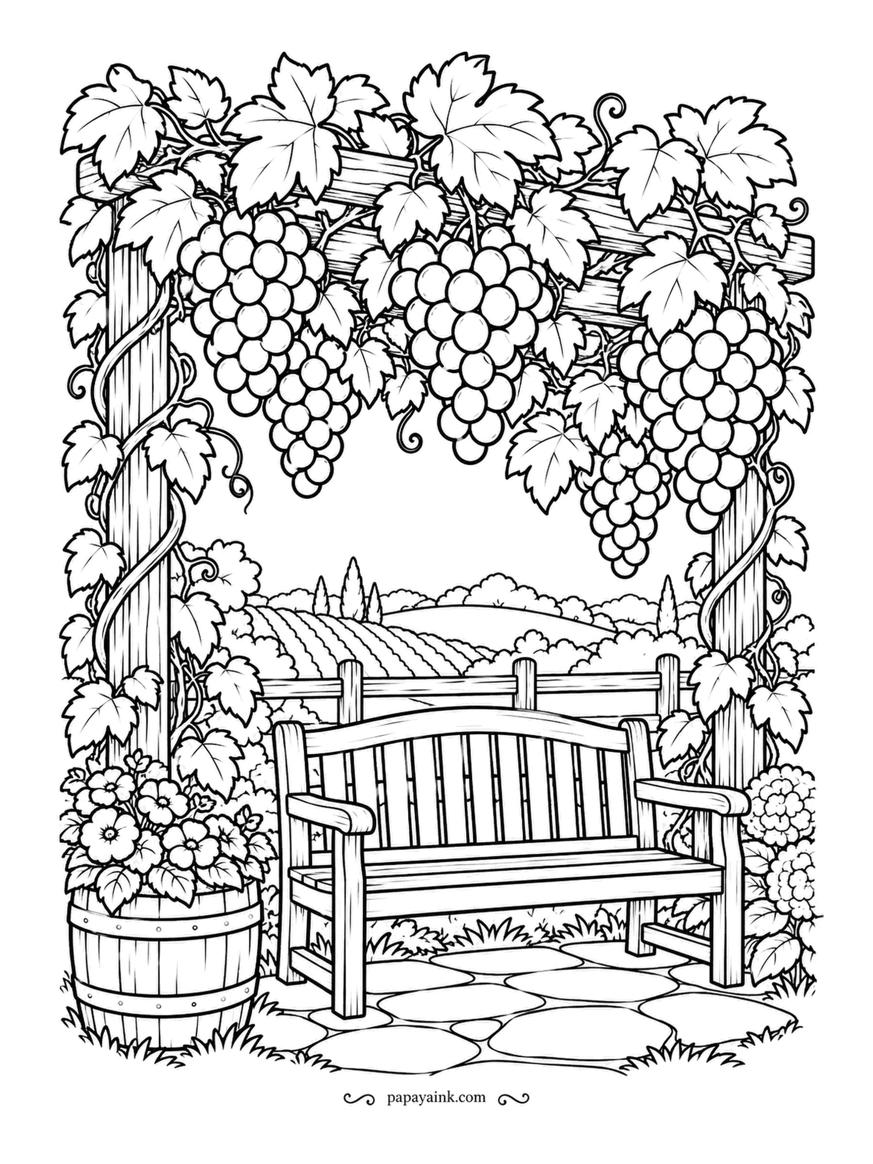 Farm Coloring Pages - Grape arbor hanging with heavy bunches above a wooden bench, vineyard rows rolling behind. Nobody is sitting down until the grapes are picked. Purple or green for the fruit, and the vines in a brown that darkens toward the posts.