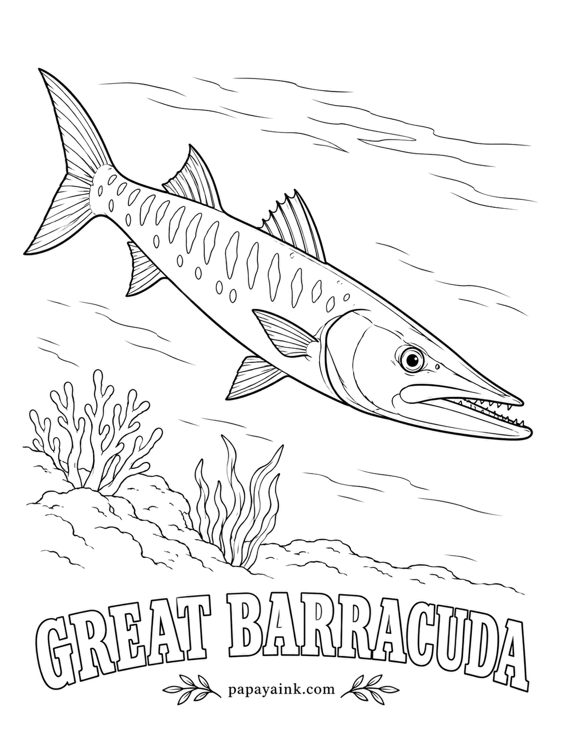 Ocean Fish Coloring Pages - Barracuda are curious rather than hostile, often trailing divers at a distance just to watch. They hunt by sight, so anything shiny catches their attention. Steel gray topside, shining silver on the flanks, dusky bars and scattered black spots near the tail.