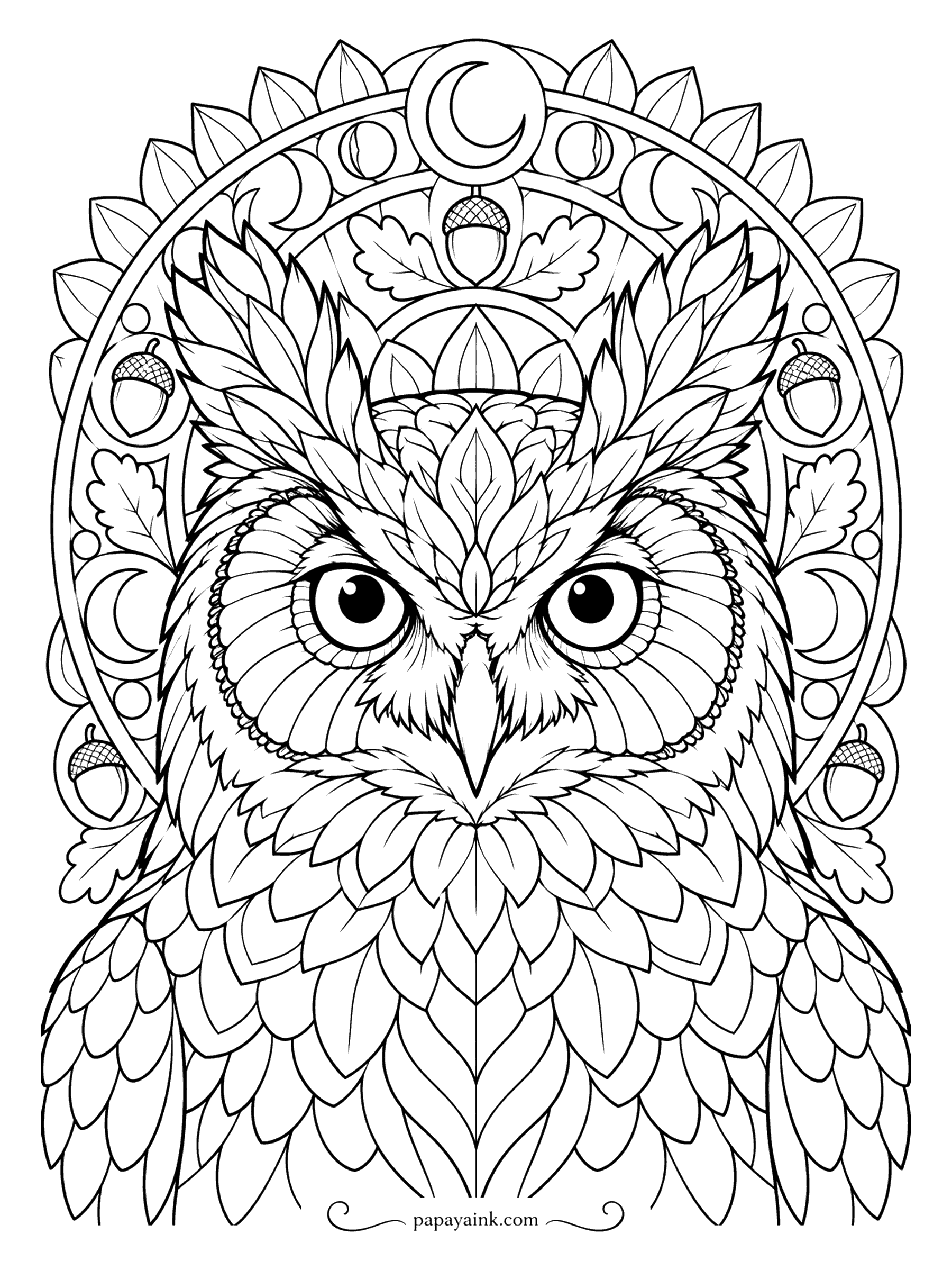 Owl Coloring Pages - Moon phases, oak leaves and acorns ring a great horned owl that stares straight out at you. The crown feathers are drawn as overlapping leaves. Work outward from the beak in rings, one hue per ring, as you would on any mandala. Detailed.