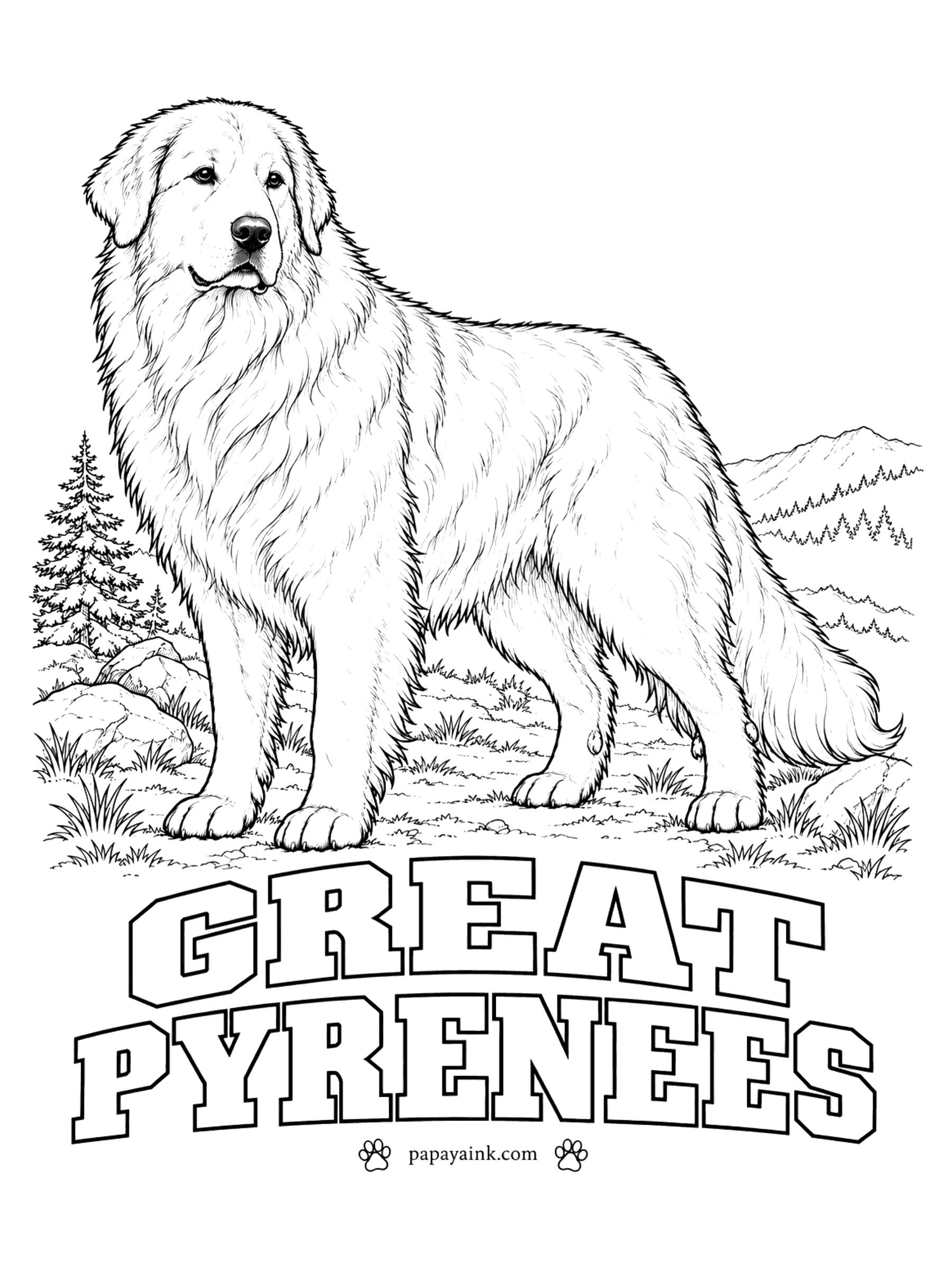 Free Printable Dog Coloring Pages - For centuries the Great Pyrenees guarded sheep from wolves in the mountains between France and Spain, mostly at night. The coat is white, sometimes with pale gray, tan or badger markings on the head. Double dewclaws on the hind legs are a breed trademark.
