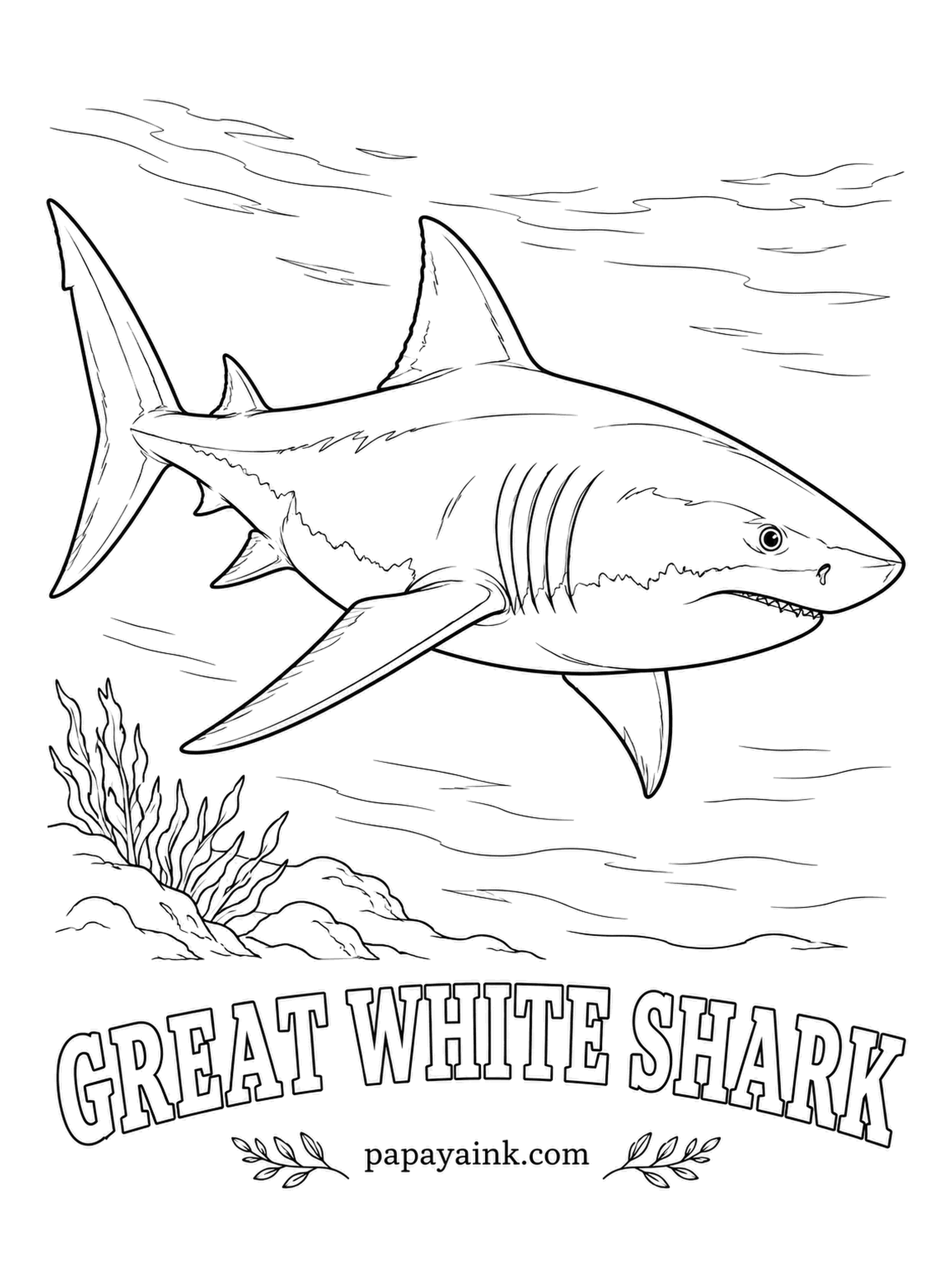Ocean Fish Coloring Pages - Slate gray above, pure white below: the whole color plan of a great white is one ragged line along the flank. From underneath, that pale belly vanishes against the bright surface. The largest reach about twenty feet.