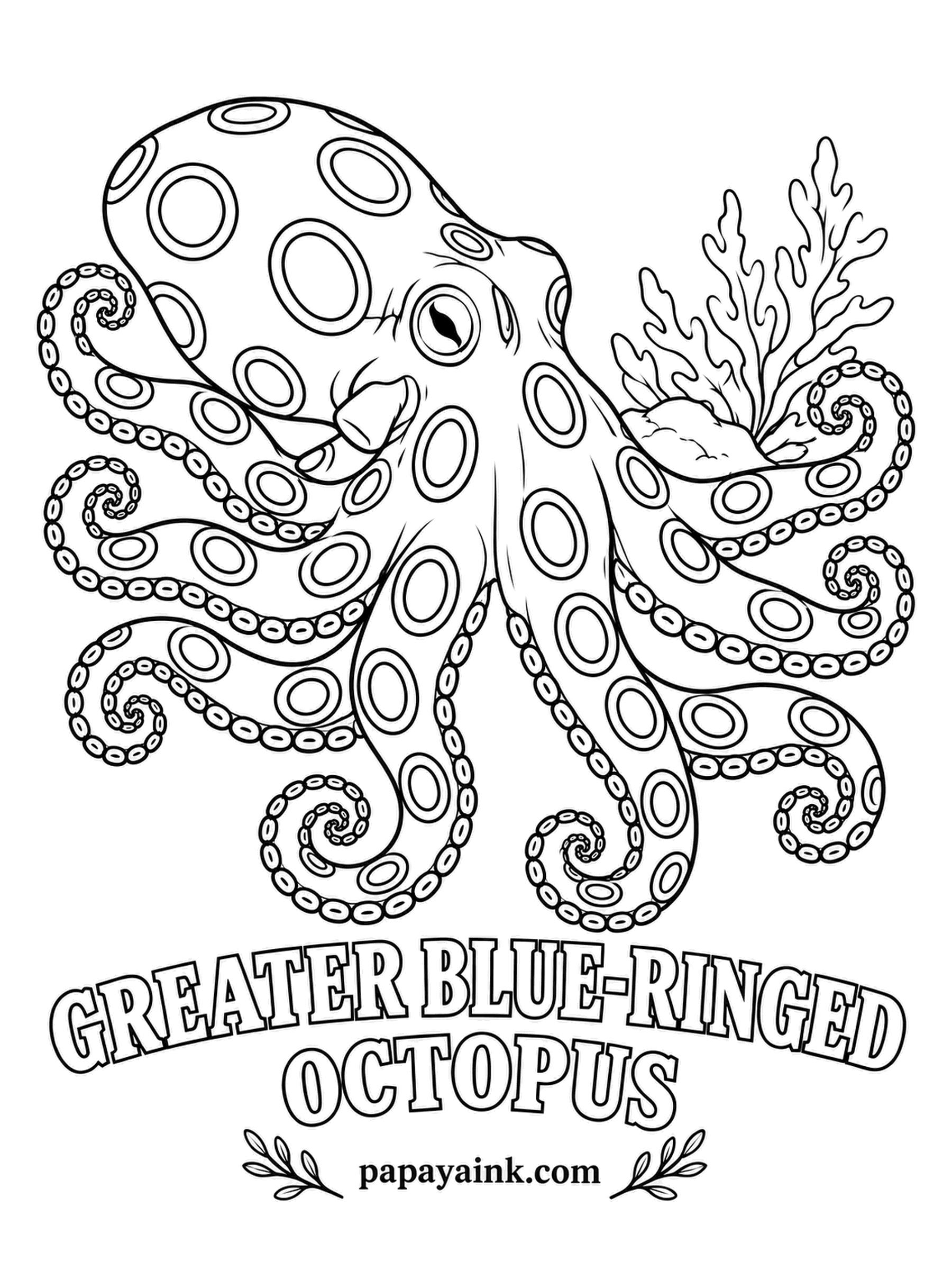 Sea Creature Coloring Pages - Small enough to sit in a palm, though it is wise never to let it. The rings are a warning sign that flashes electric blue when the octopus is alarmed. Sandy yellow body, and the brightest blue you own in each ring. Detailed.