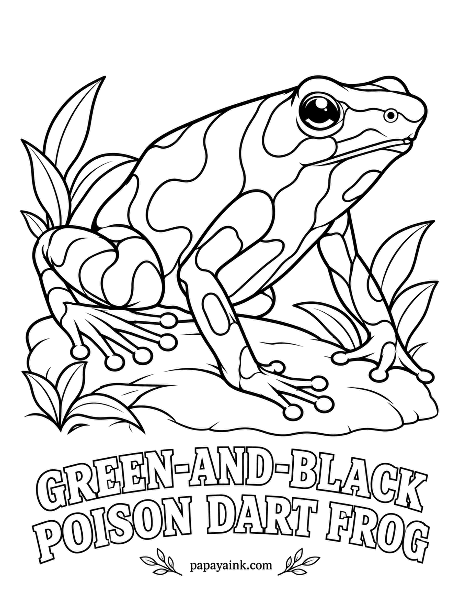 Amphibian Coloring Pages - Shipped to Hawaii about ninety years ago to eat mosquitoes, the green-and-black poison dart frog still hops around the valleys of Oahu. Mint or emerald green with bold black bands, though some Panama frogs come in turquoise.