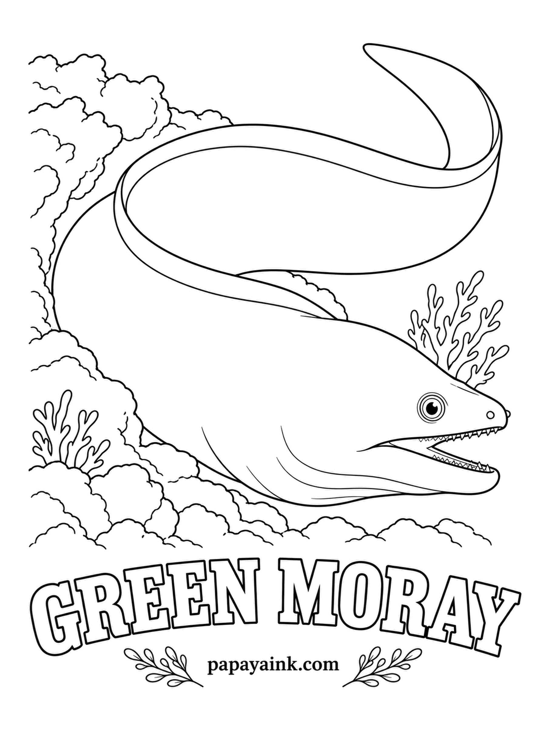 Ocean Fish Coloring Pages - The green is a trick: the skin underneath is dark blue-brown, coated in yellow mucus that blends into green. That open mouth is no threat - morays gape to pump water over their gills. One even shade of olive green fits.
