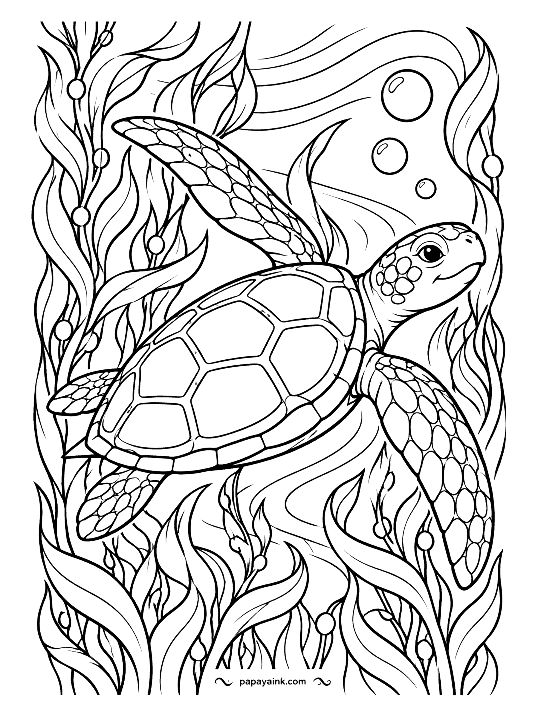Turtle Coloring Pages - Towering kelp sways on both sides as a green sea turtle swims up through the current, bubbles rising ahead of it. Long, rhythmic lines make this one relaxing to color; shade the kelp in two greens and let the water stay white.