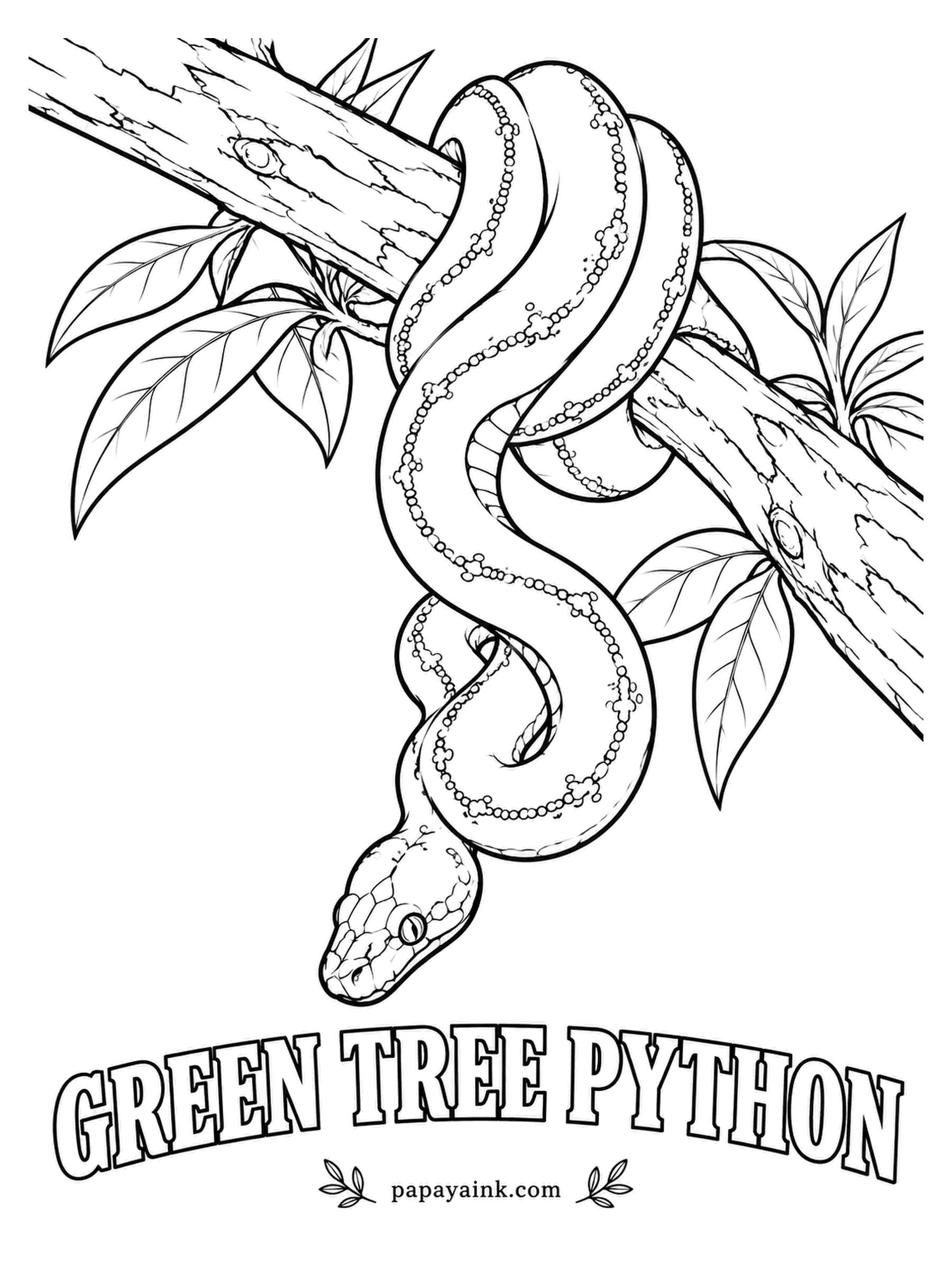Reptile Coloring Pages - From New Guinea and northern Australia, the green tree python looks almost exactly like the emerald tree boa, a snake from the other side of the world. Babies start out yellow or red. Lime green, a broken line of white dots down the spine.