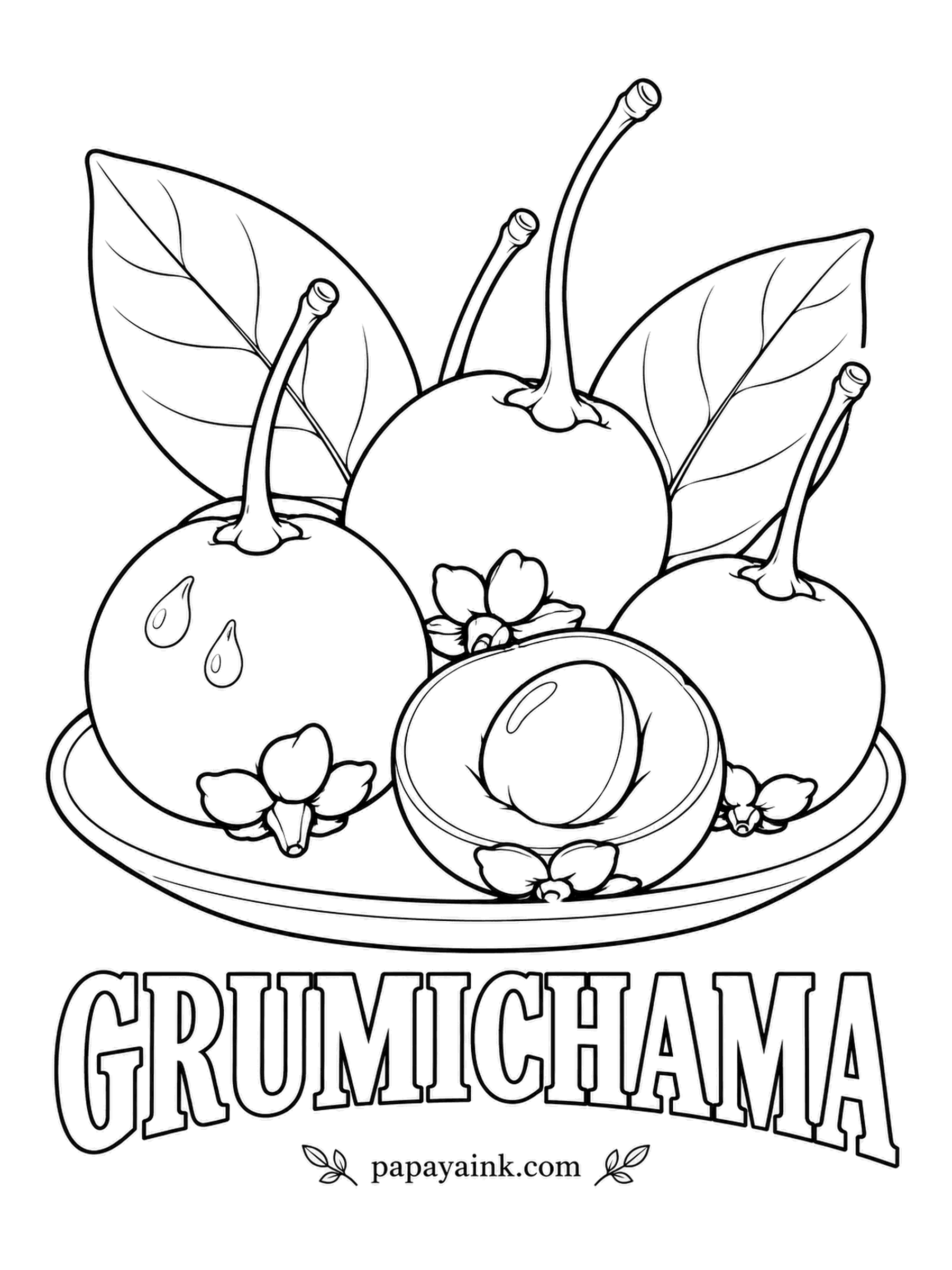 Printable Fruit Coloring Pages - A Brazilian cherry that keeps four green sepals at its base, like a small frill. Ripe grumichama goes purple-black and glossy; the flesh is red-purple around a round seed.