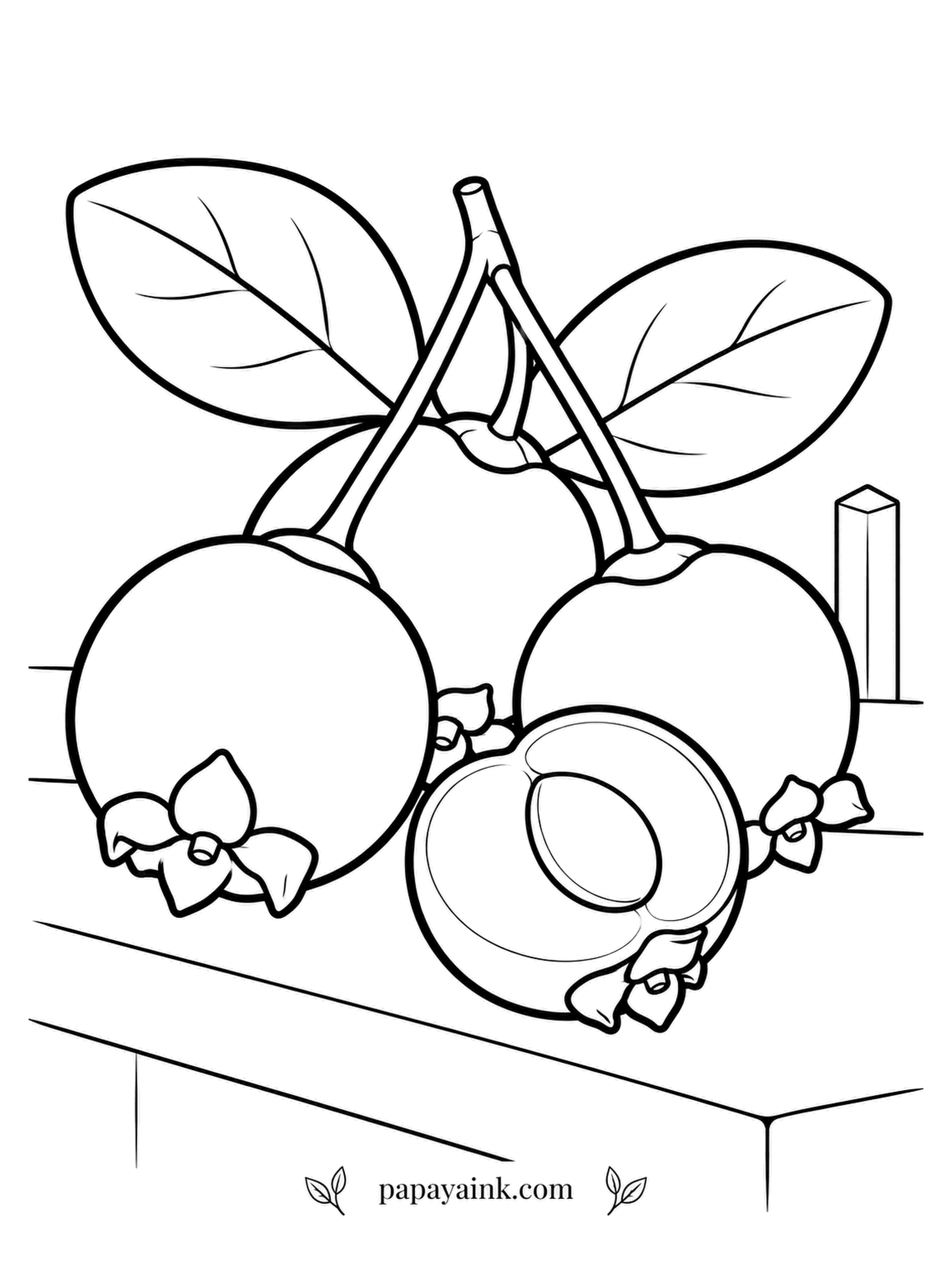 Fruit Coloring Pages - Grumichama comes from the Atlantic forest of Brazil and tastes much like a sweet dark cherry, with one difference: each fruit keeps four small green sepals at its tip like a tiny crown. Three hang from long stems over a patio ledge. Purple-black fruit, green sepals.