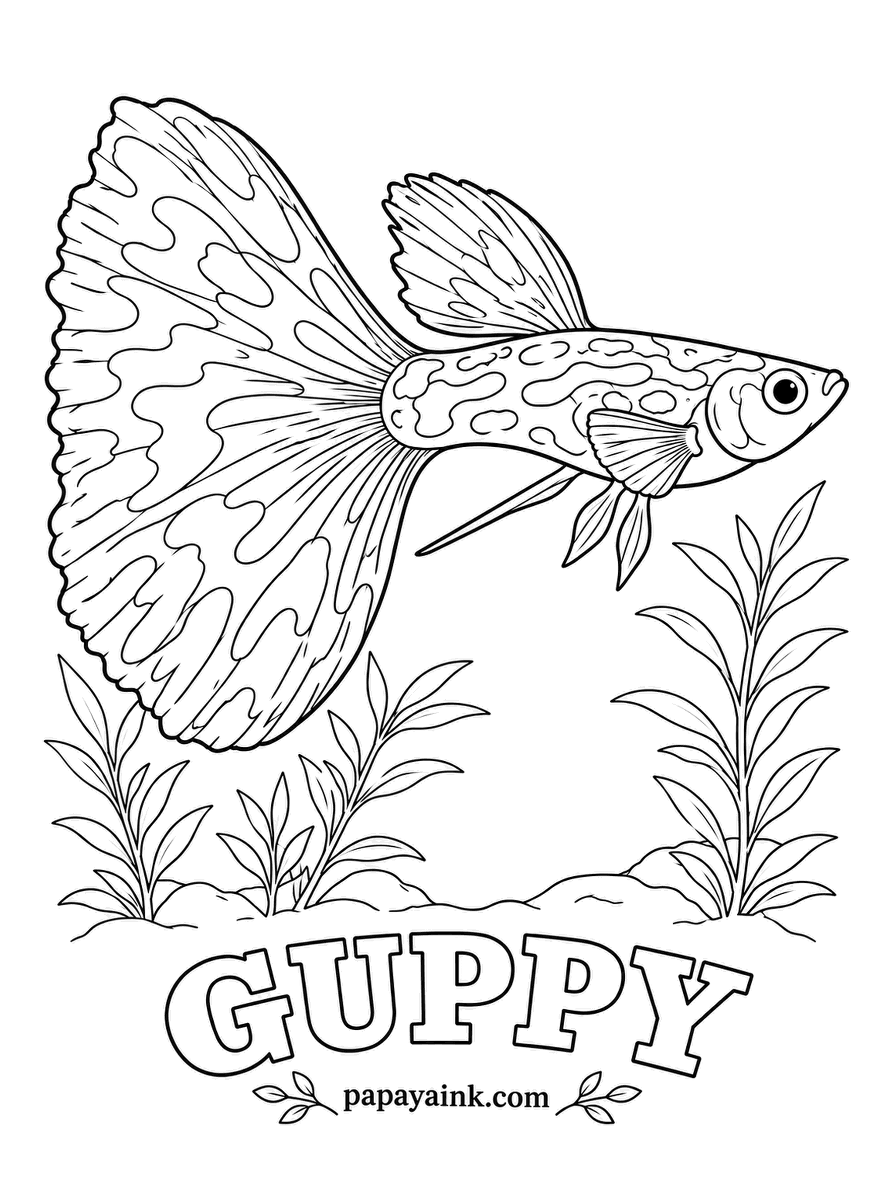 Aquarium Fish Coloring Pages - Guppies are named after Robert Guppy, a naturalist who sent specimens from Trinidad to the British Museum. This fancy male hauls around a tail bigger than the rest of him. Detailed - the marbling looks great in two shades of one color.