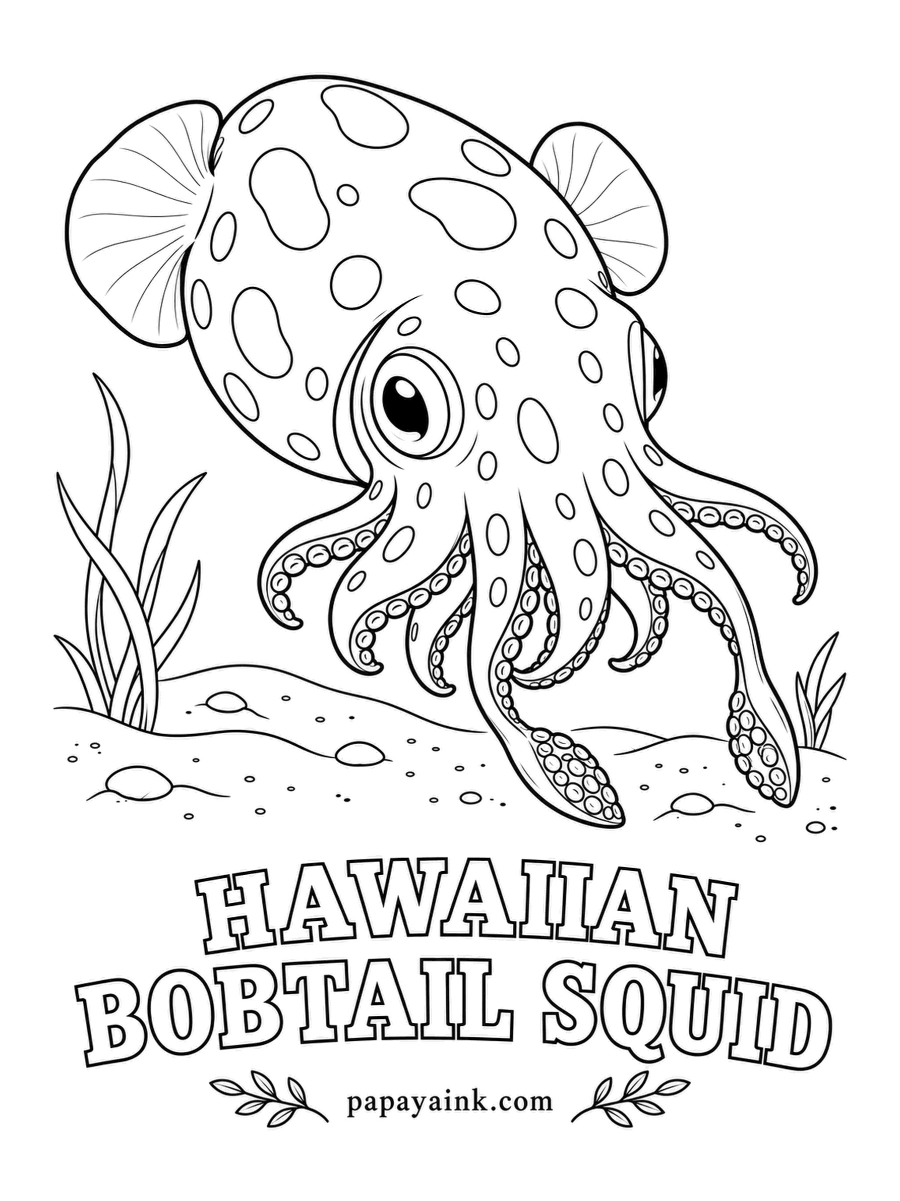 Sea Creature Coloring Pages - At night this thumb-sized squid switches on a light organ full of glowing bacteria and shines downward, so a predator looking up sees no shadow. By day it buries itself in sand. Sandy tan with purplish brown freckles.